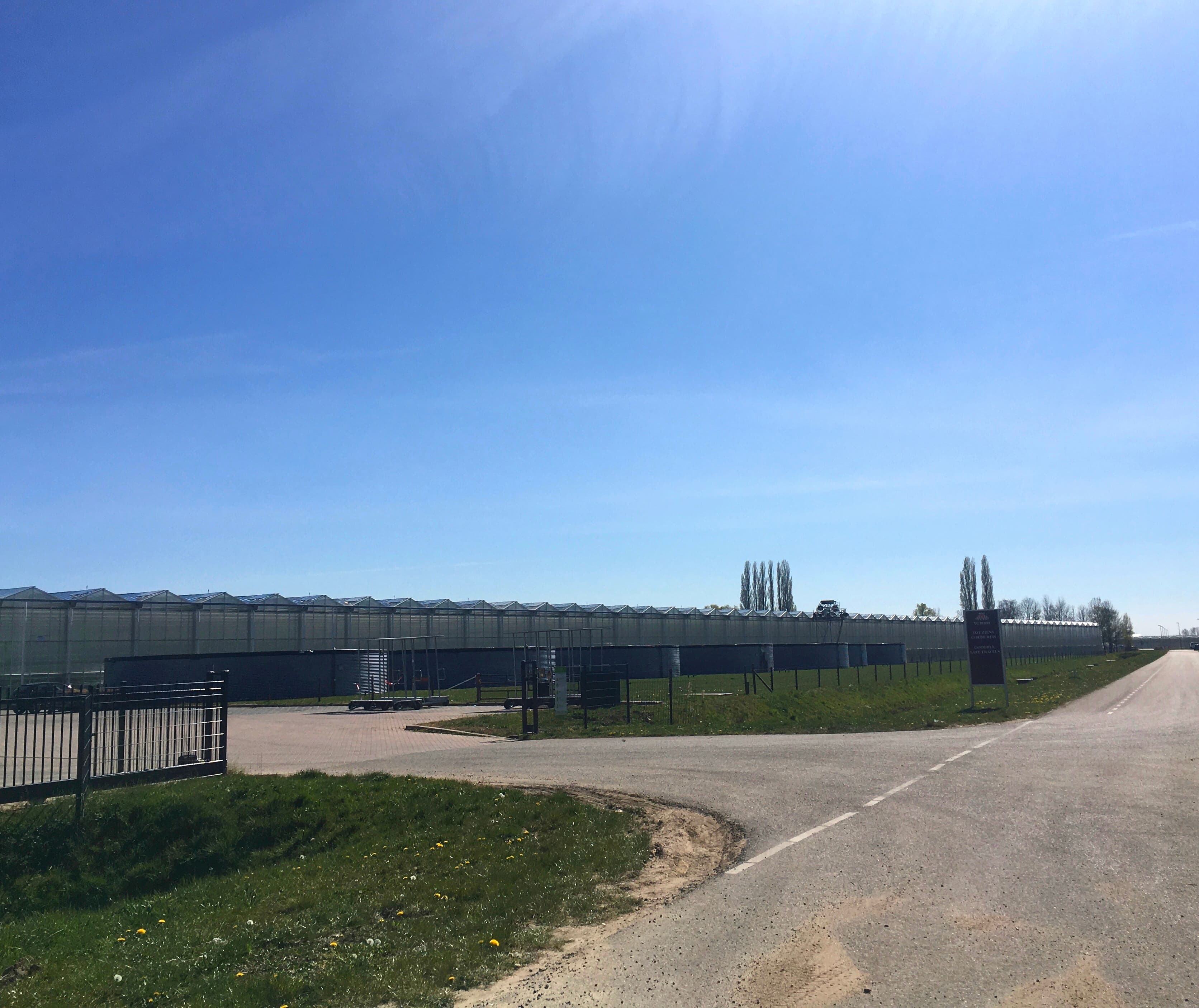 Greenhouses in Huissen