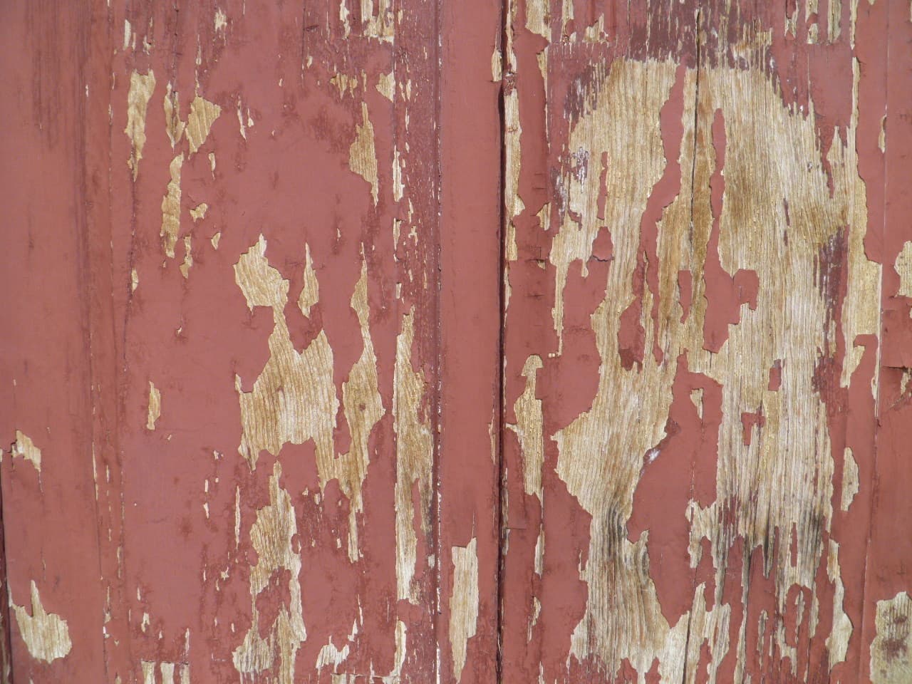 Texture - P7220226