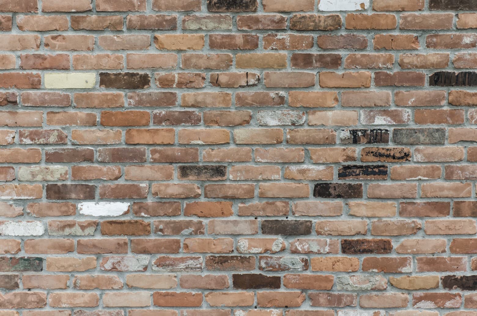 Brick wall 3