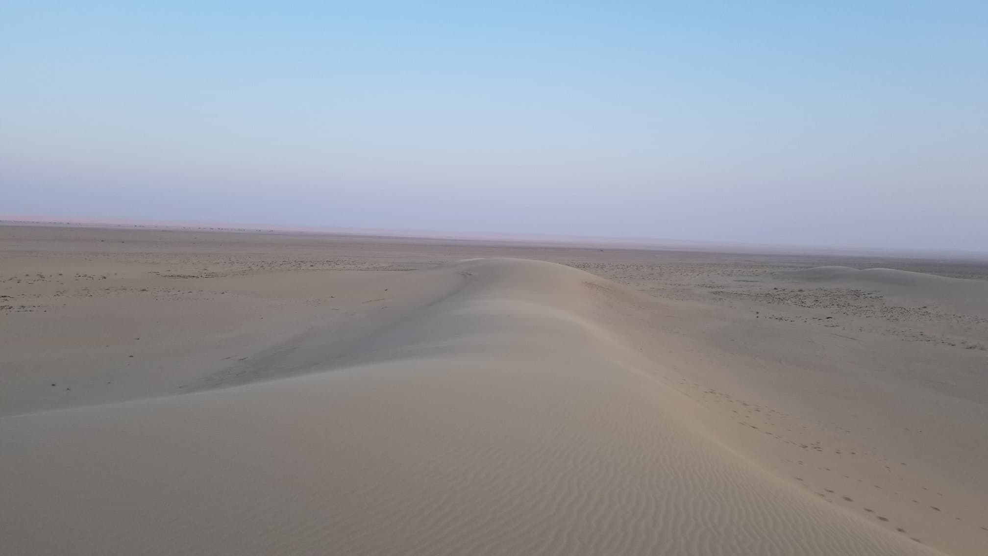 Mongolian Gobi desert dune 1818
