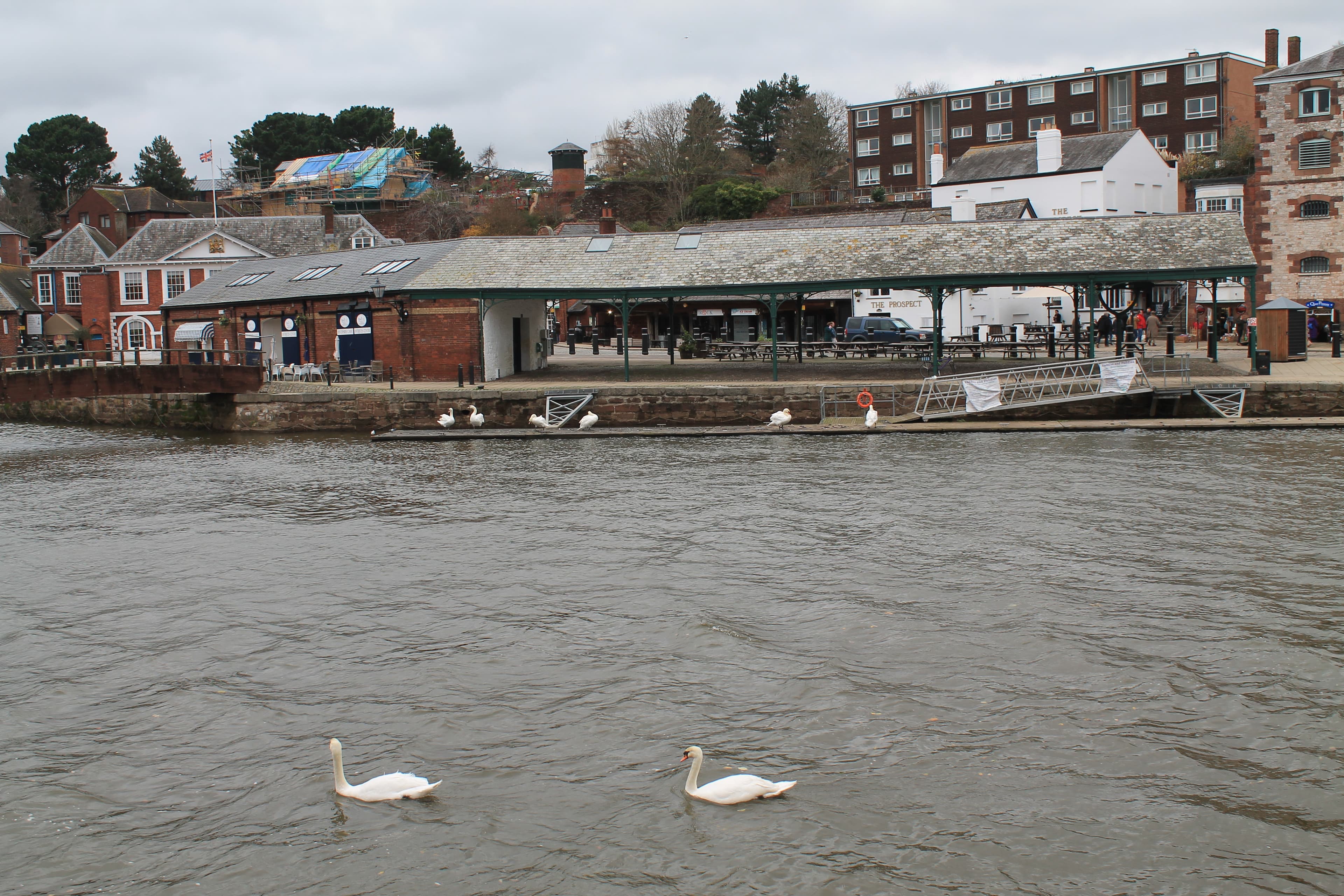 Fish Market (2)