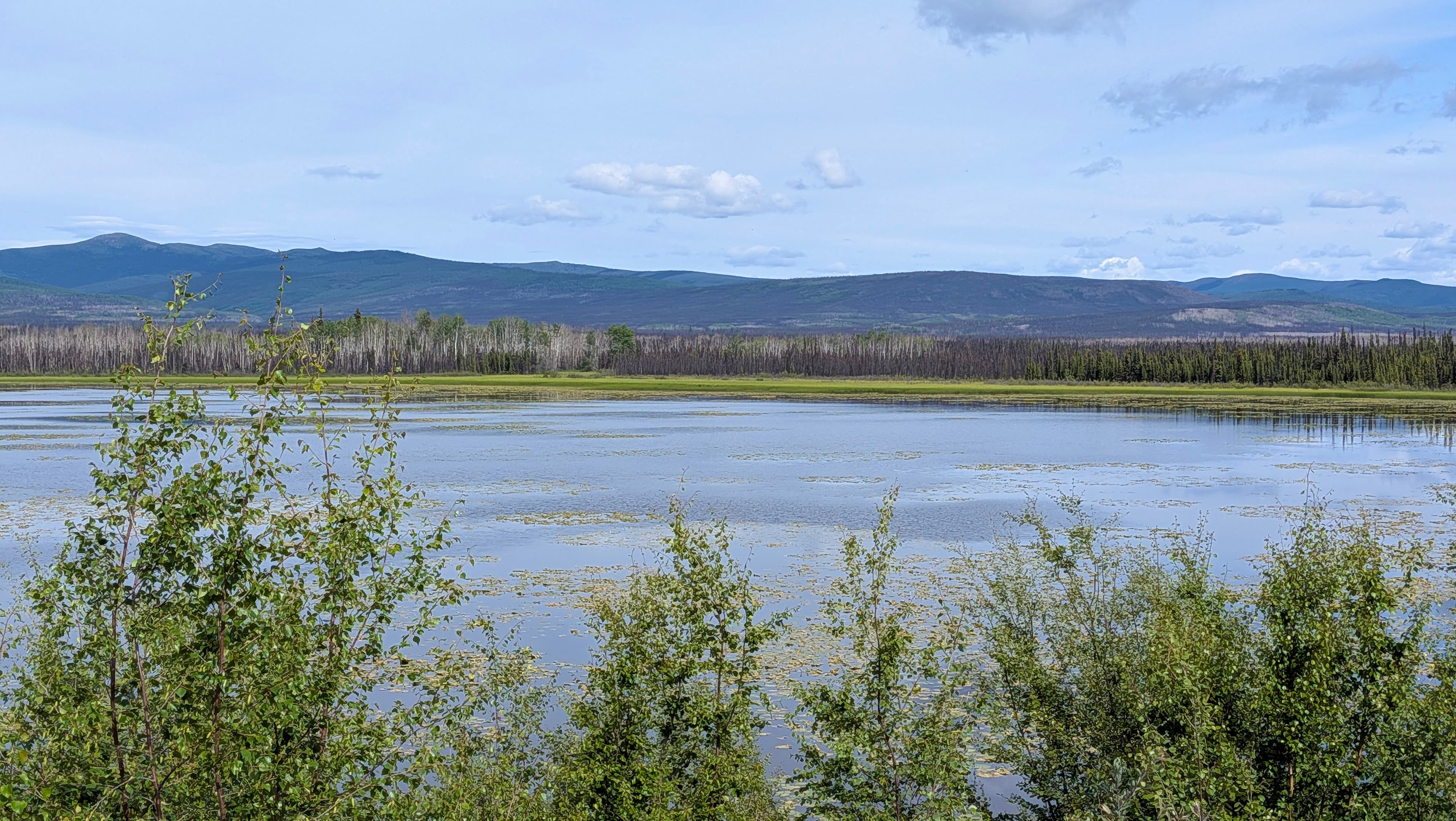 Gravel Lake Tintina Trench1