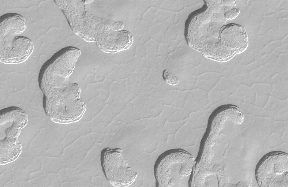 Swiss Cheese Terrain close-up