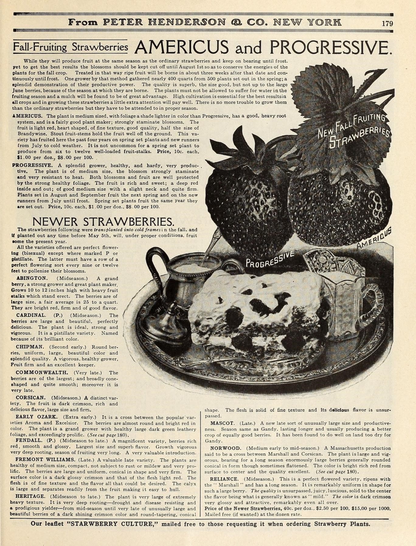 Everything for the garden (16390212092)