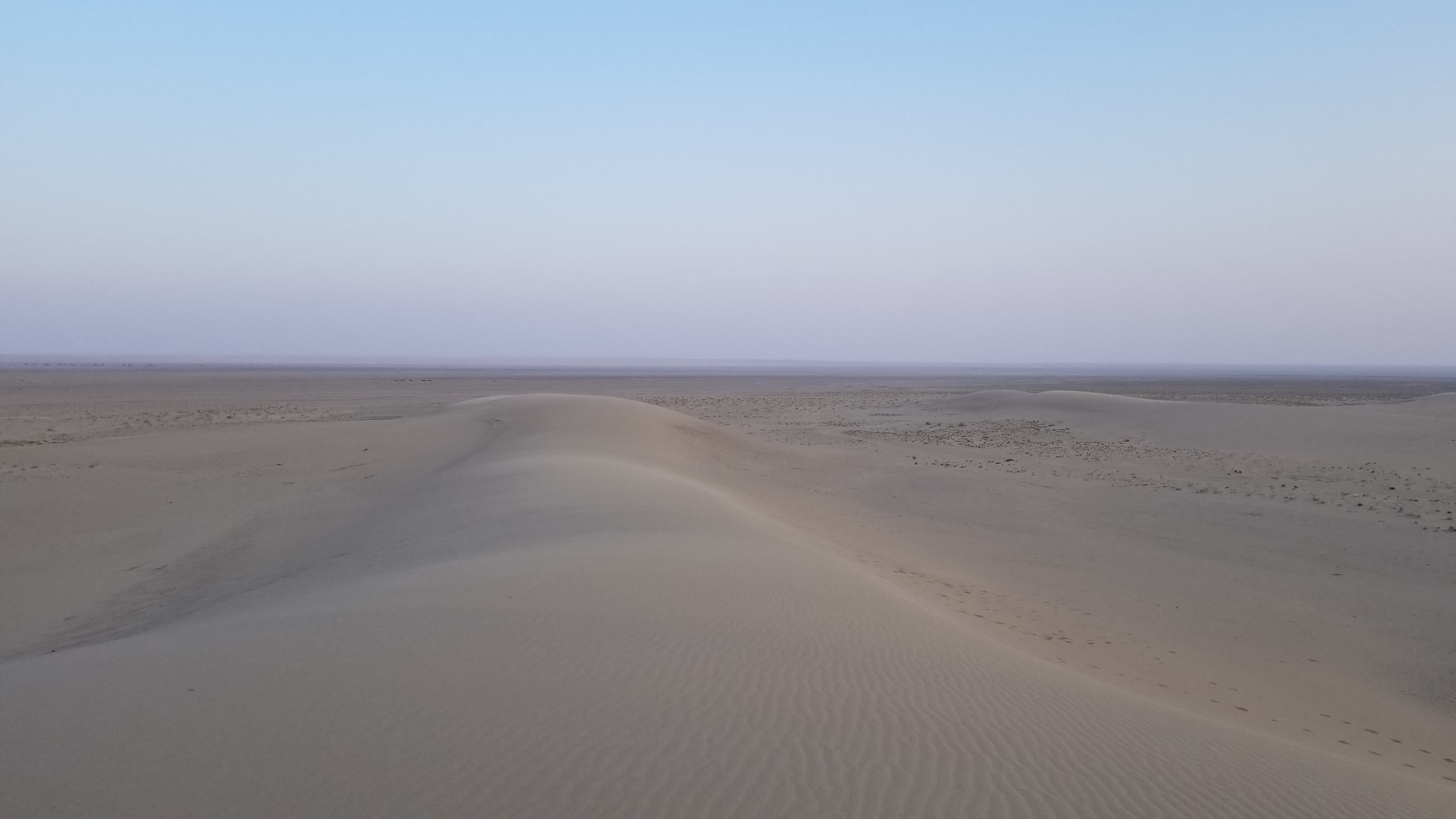 Mongolian Gobi desert dune 818