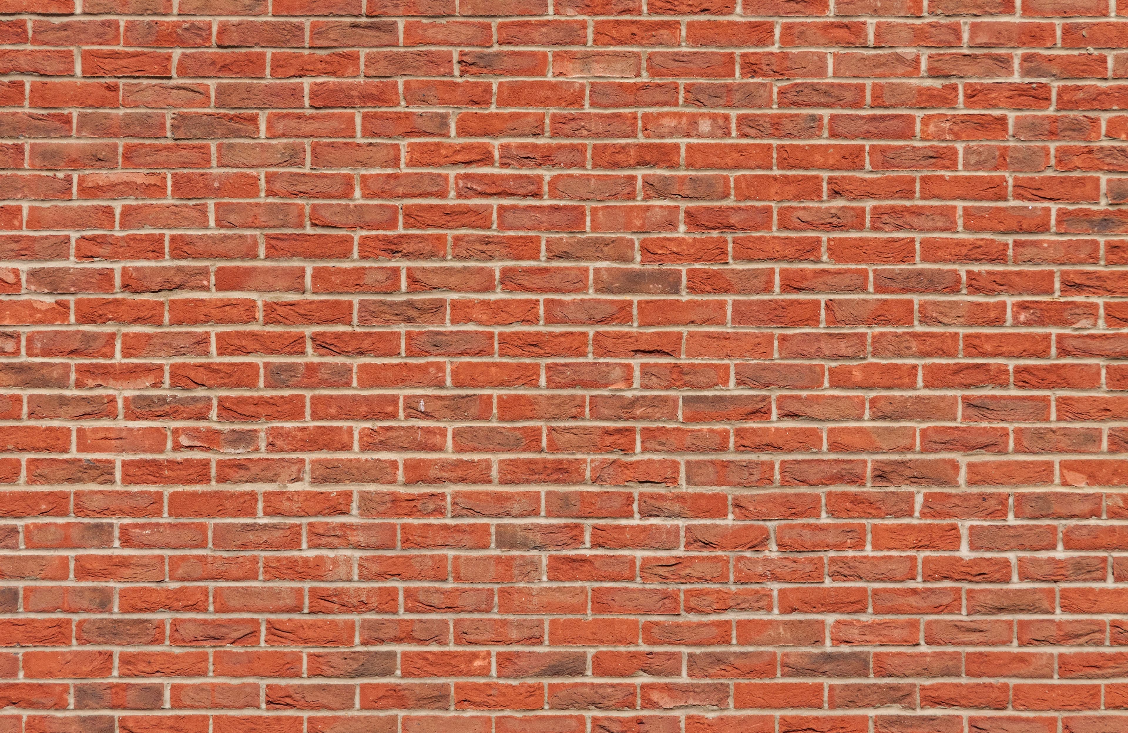 Brick Wall Tarks