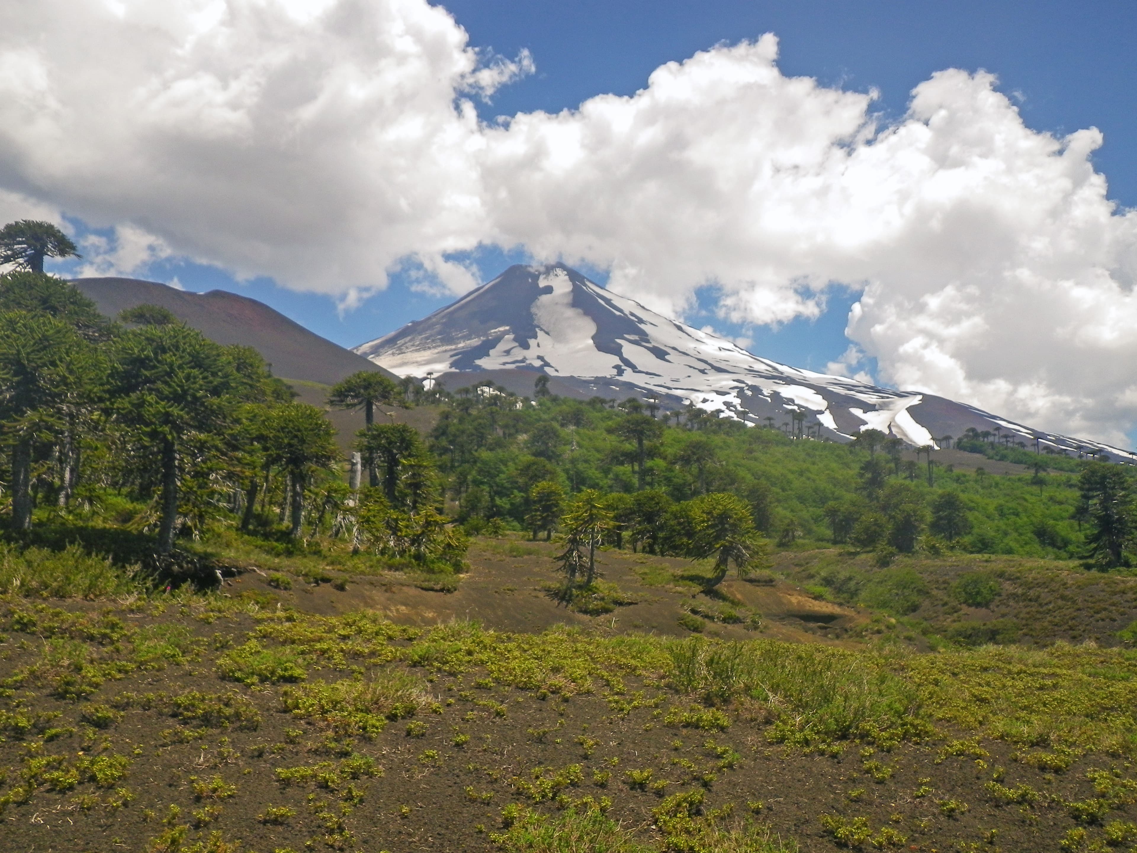 Llaima Volcano with vegetation
