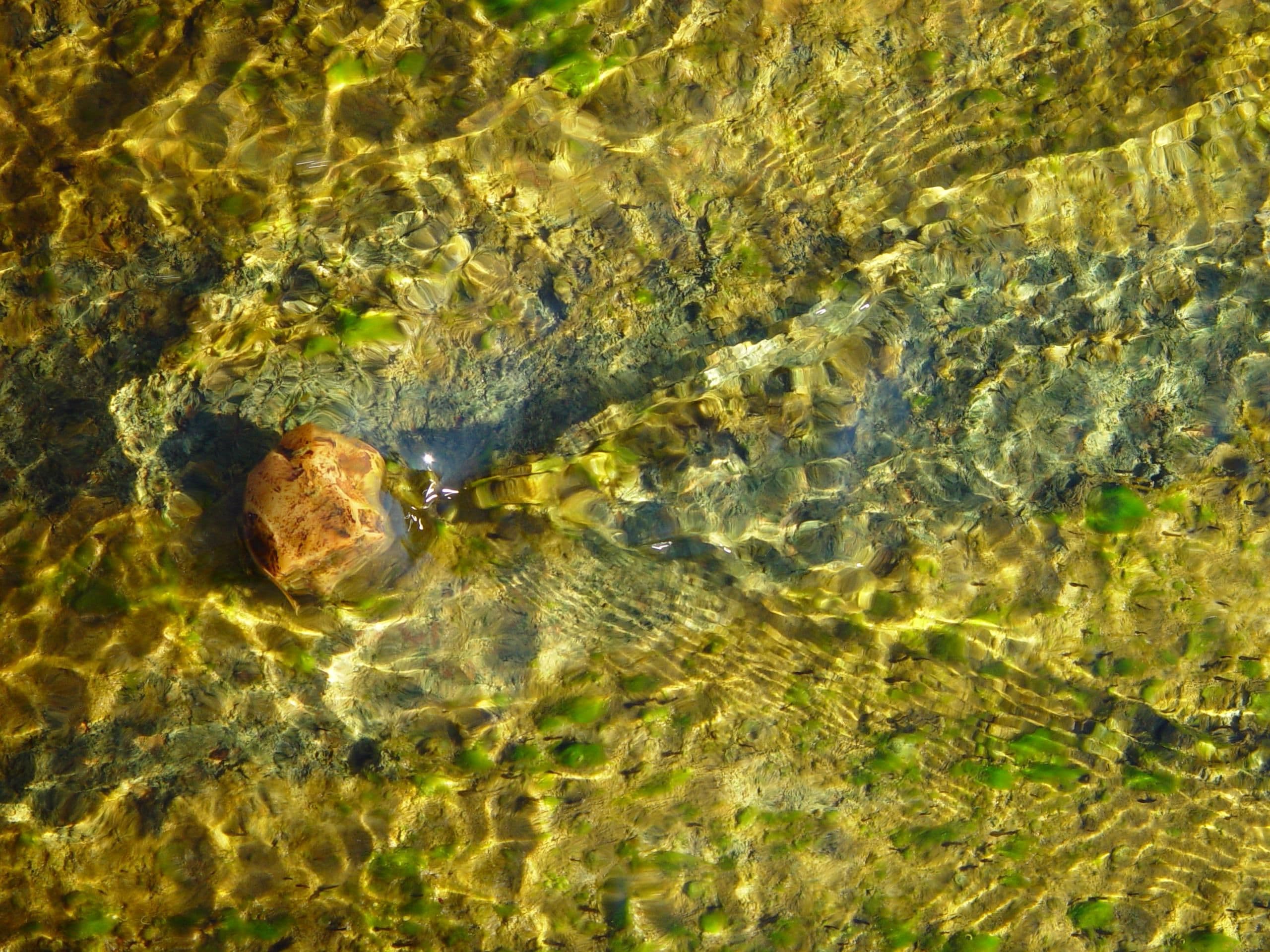 Pebble in flowing water