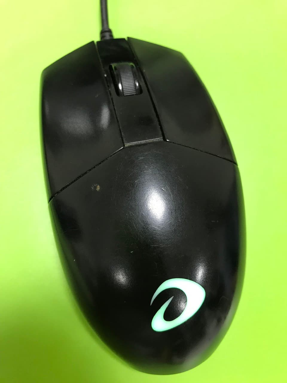 Lam's Mouse
