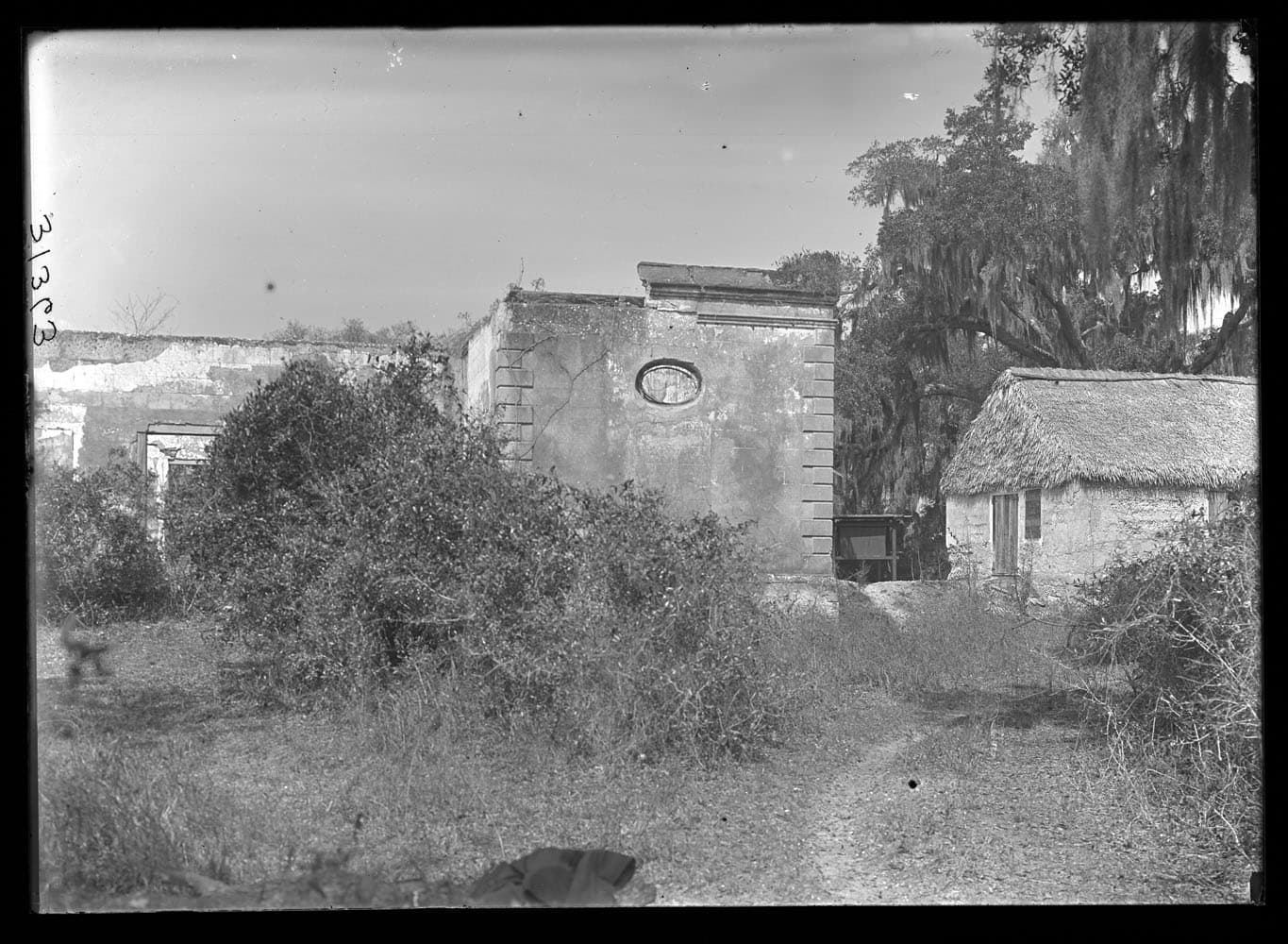 Tabby on Old Spaulding Estate