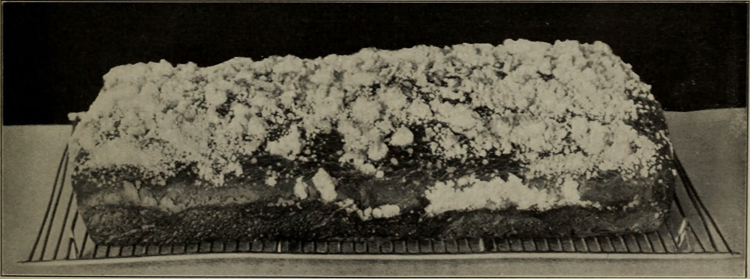 American cookery (1915) (14804581123)
