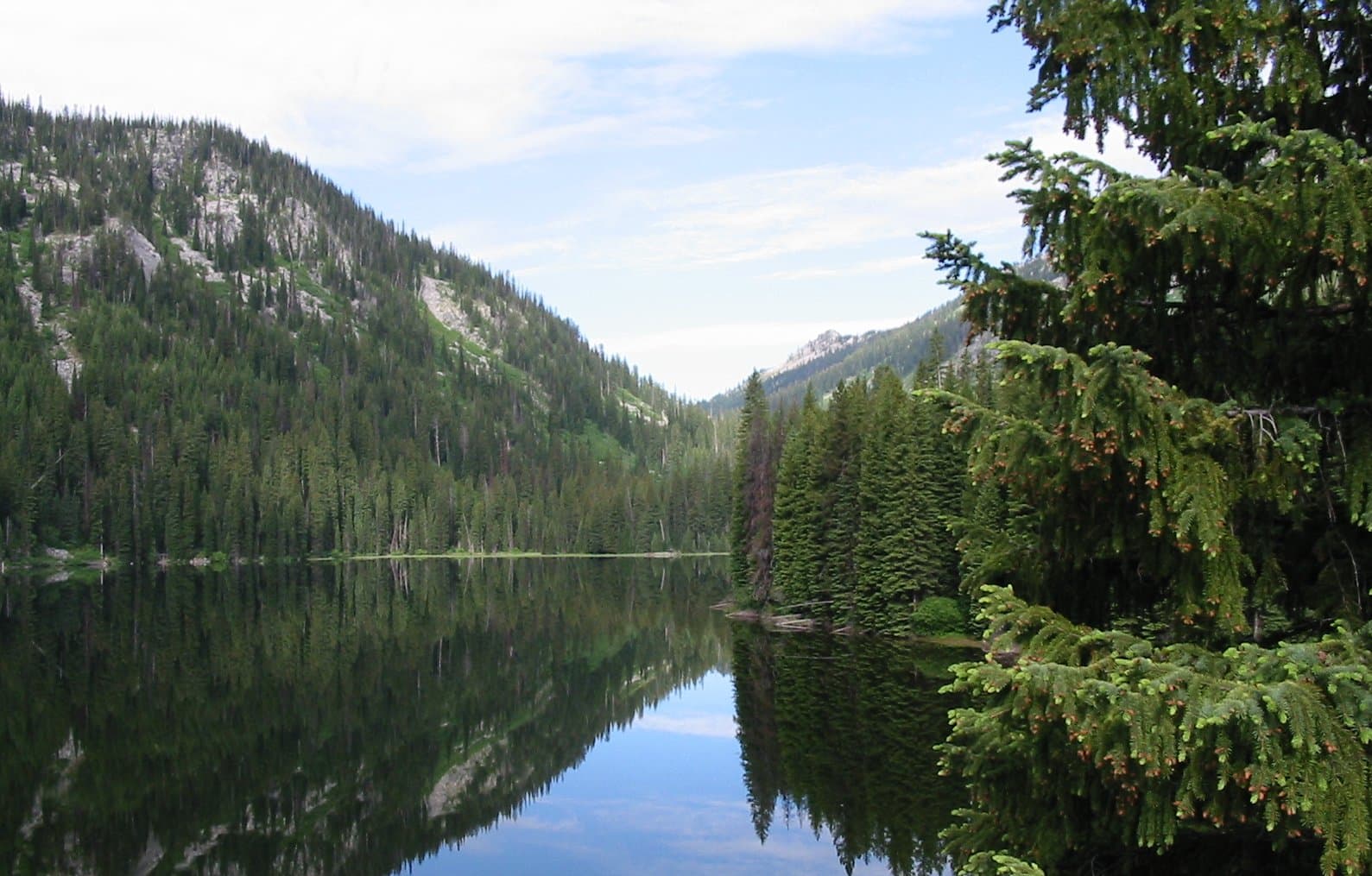 ELK LAKE REFLECTION (5592614015)