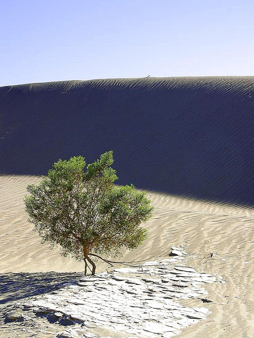 Sand dunes in desert day