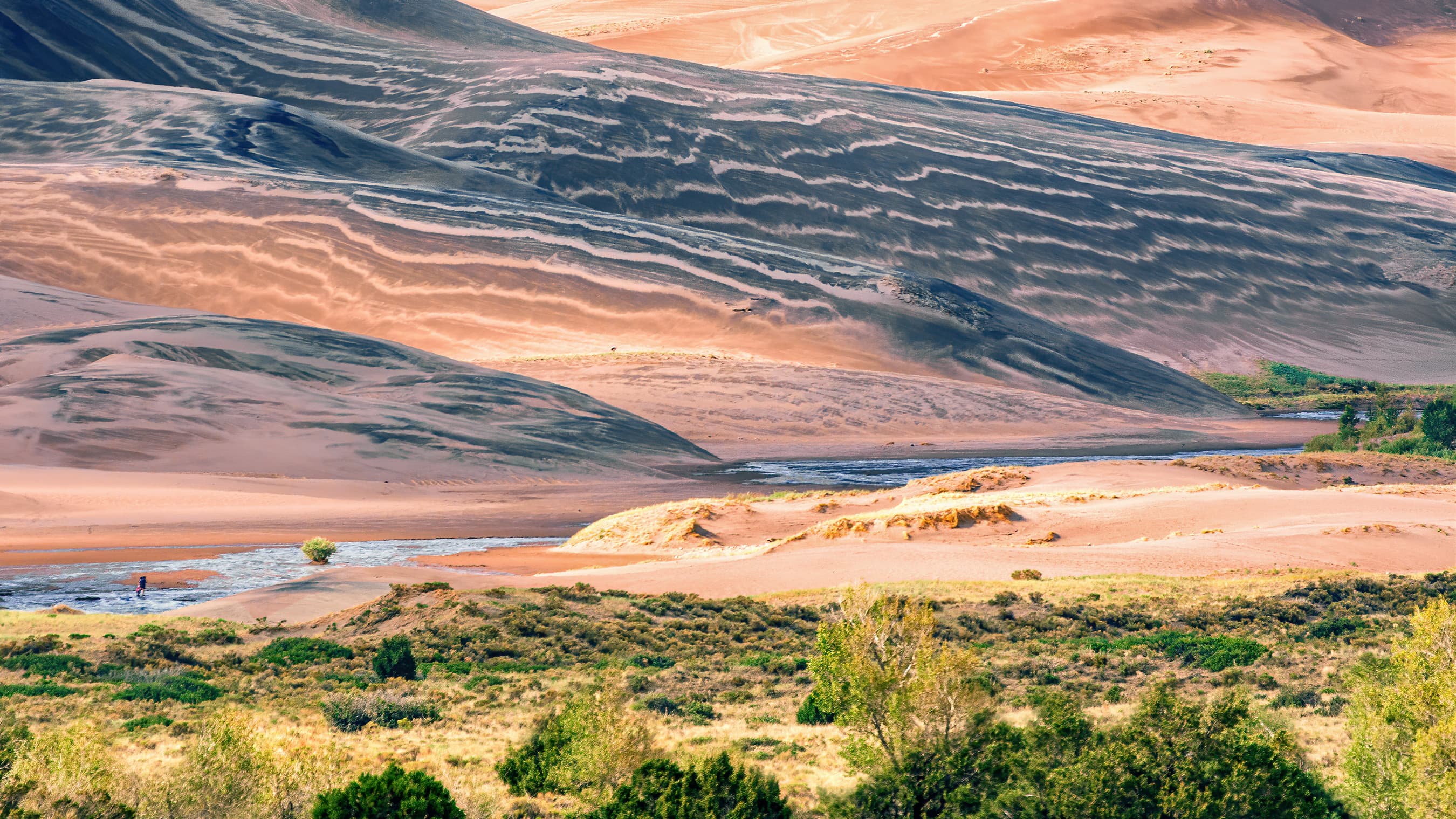 Sand Strips After Rainstorm (52299495340)