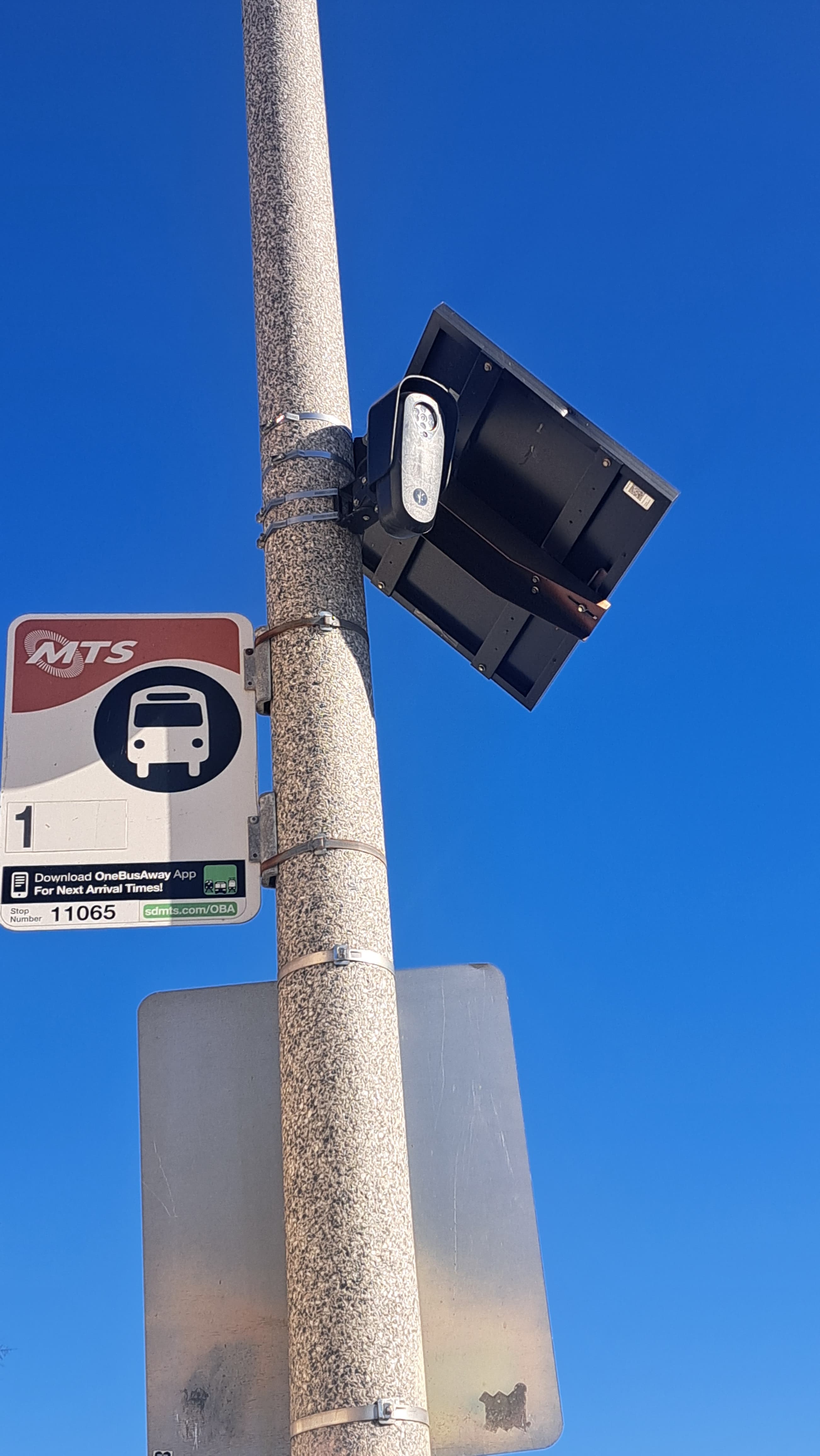 Bus Stop ALPR