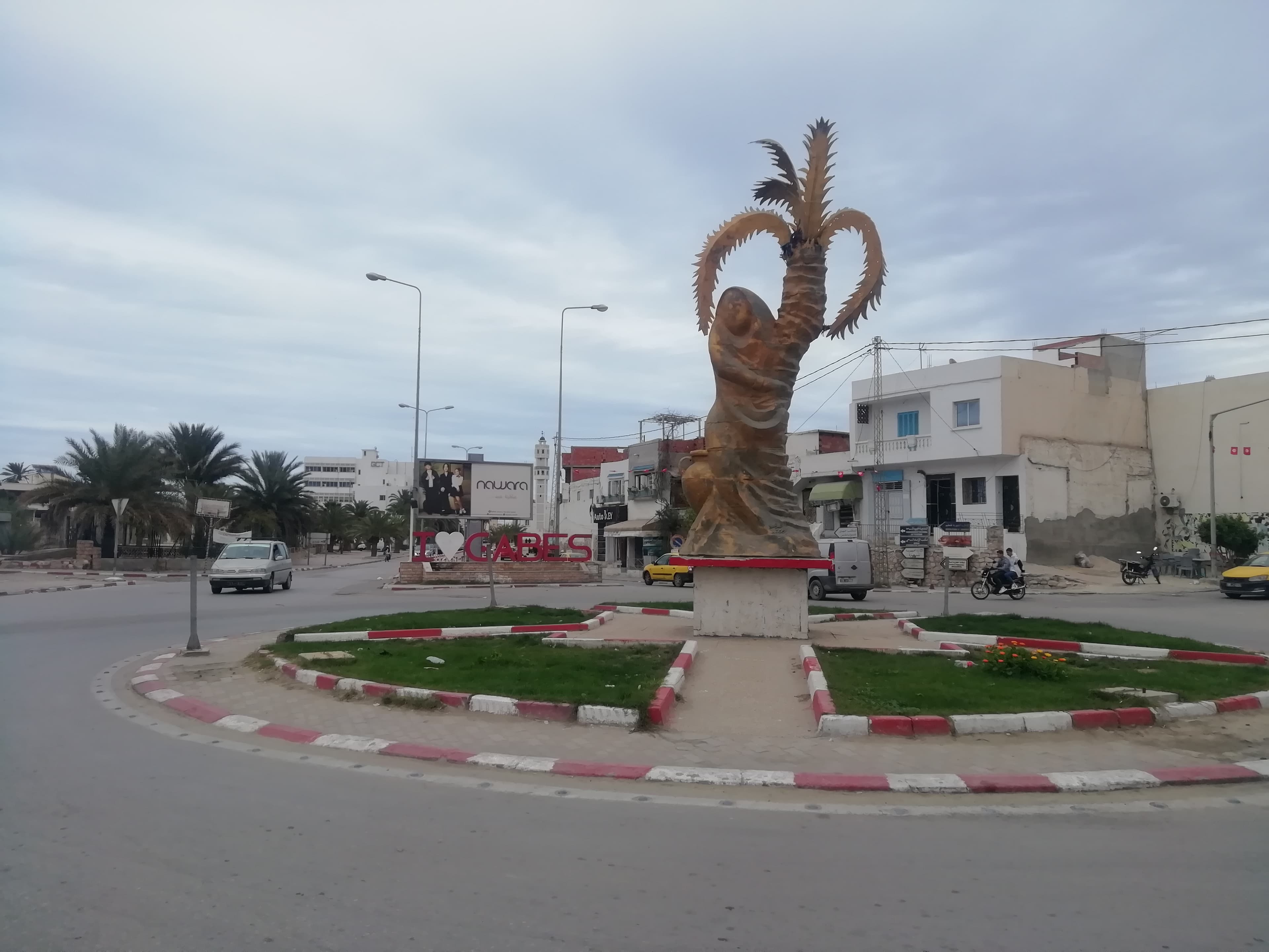 Roundabout Palm Tree Gabés 07