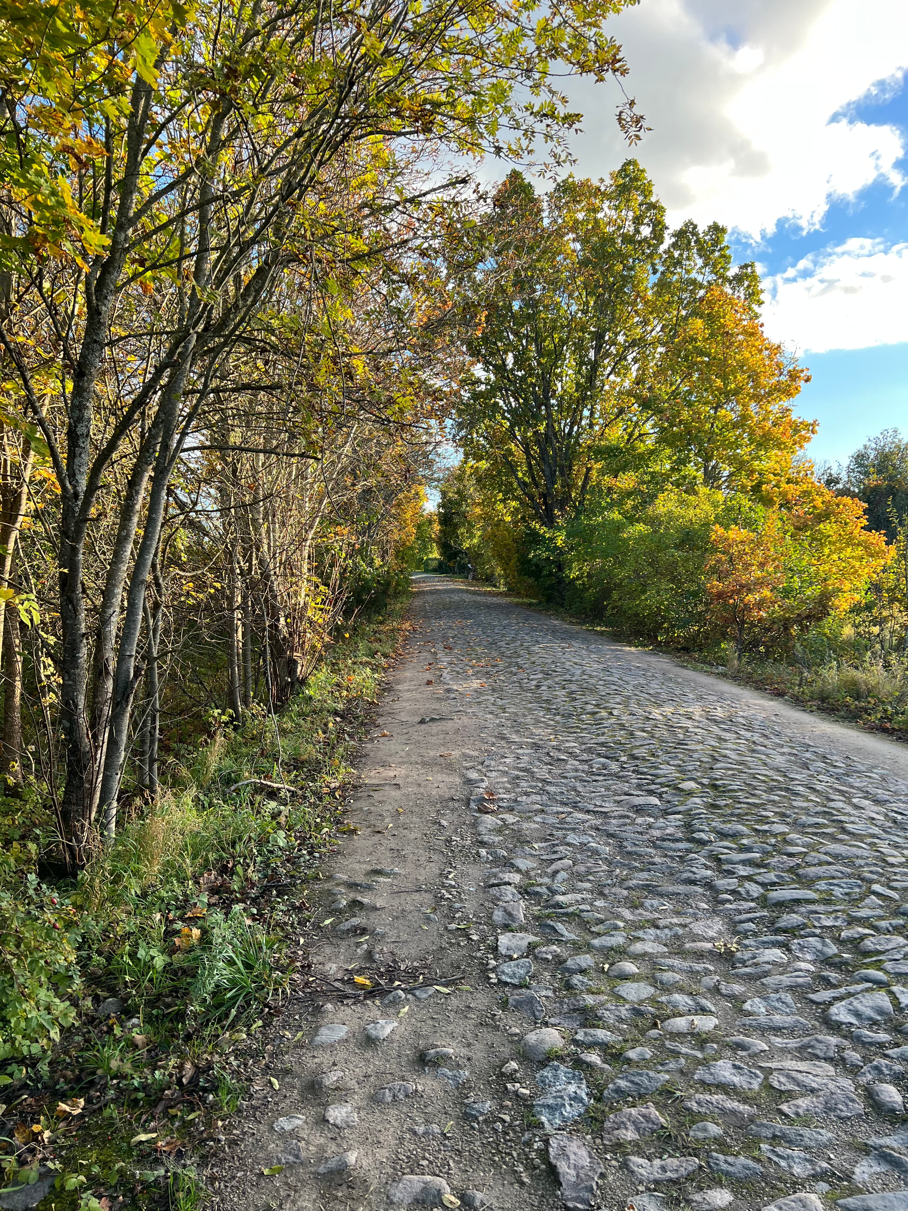 Võiküla Cobblestone Road