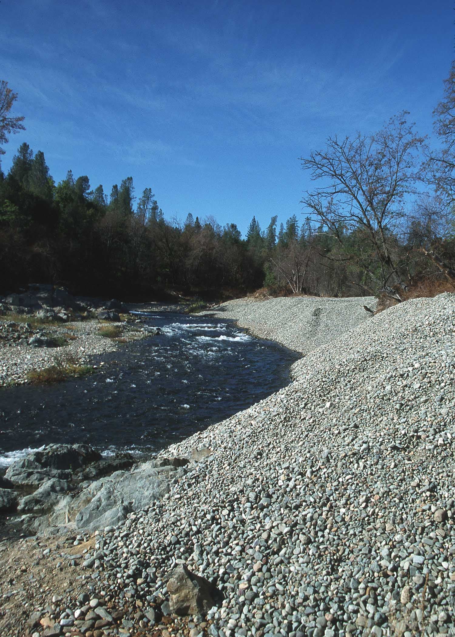 NRCSCA02010(14496)(NRCS Photo Gallery)