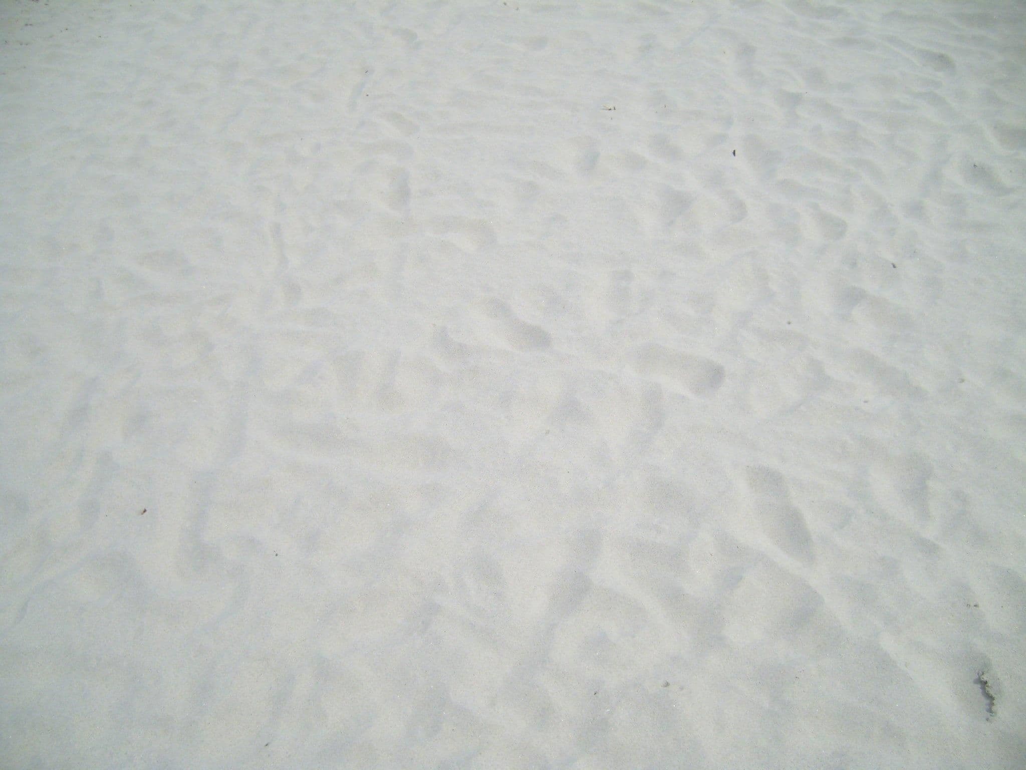 Sand beach texture