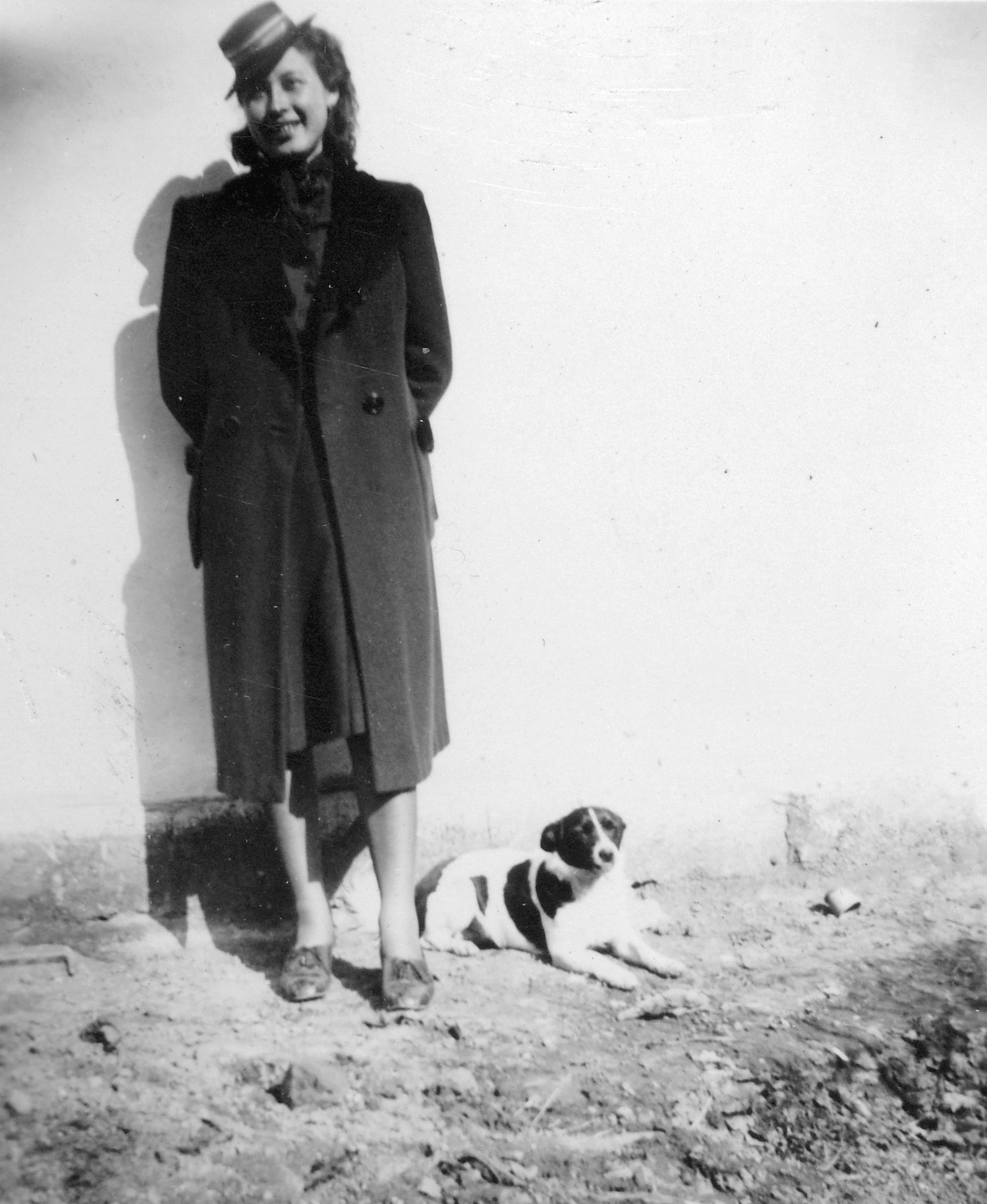 Portrait, dog Fortepan 3719