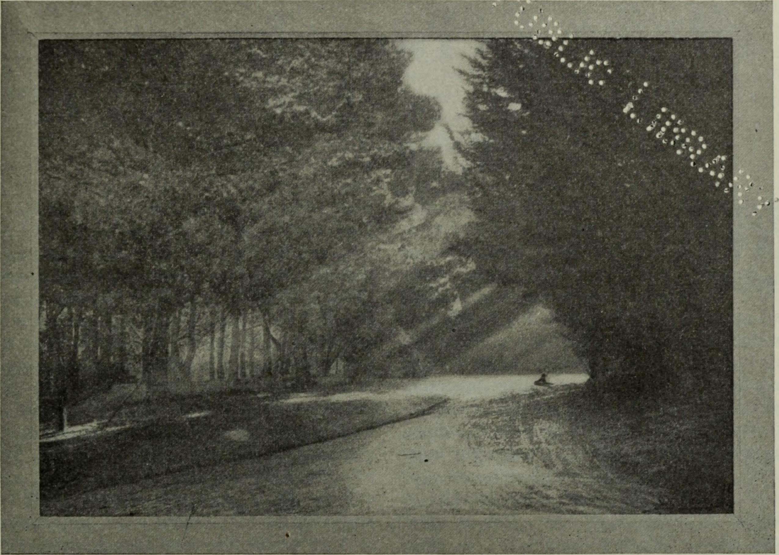 Western field (1905) (14592064560)