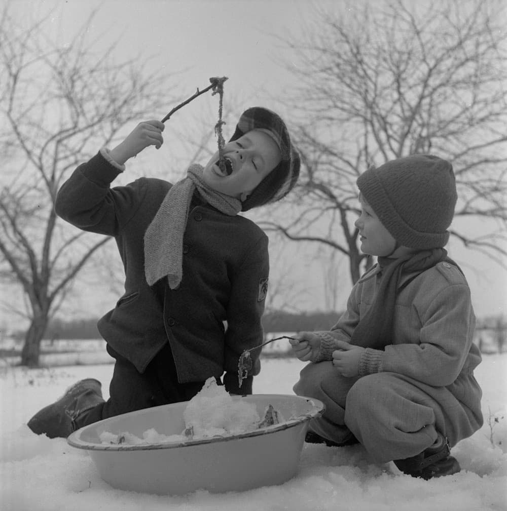 Children eating maple syrup on snow