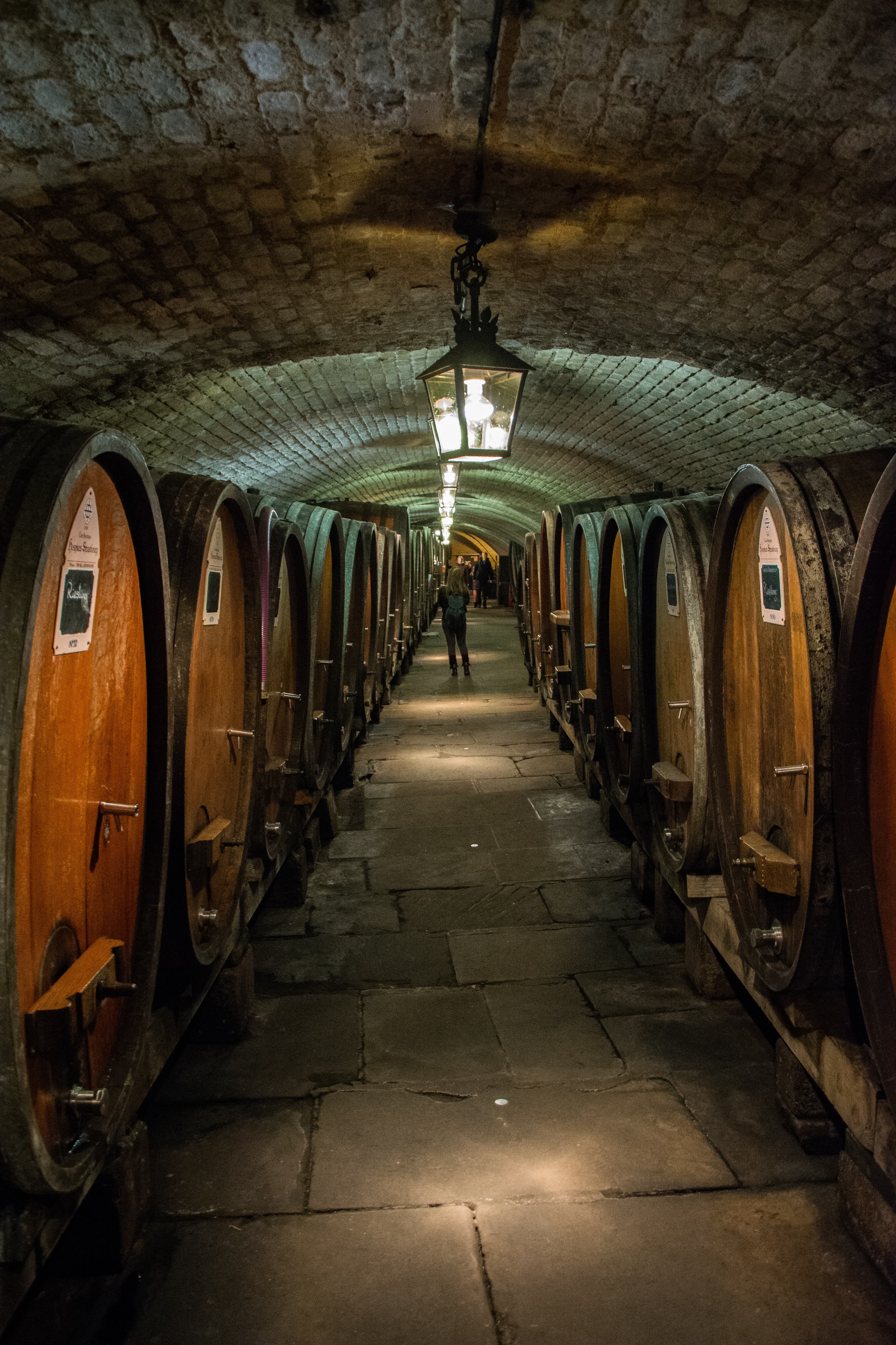Wine Cellar (31618900010)