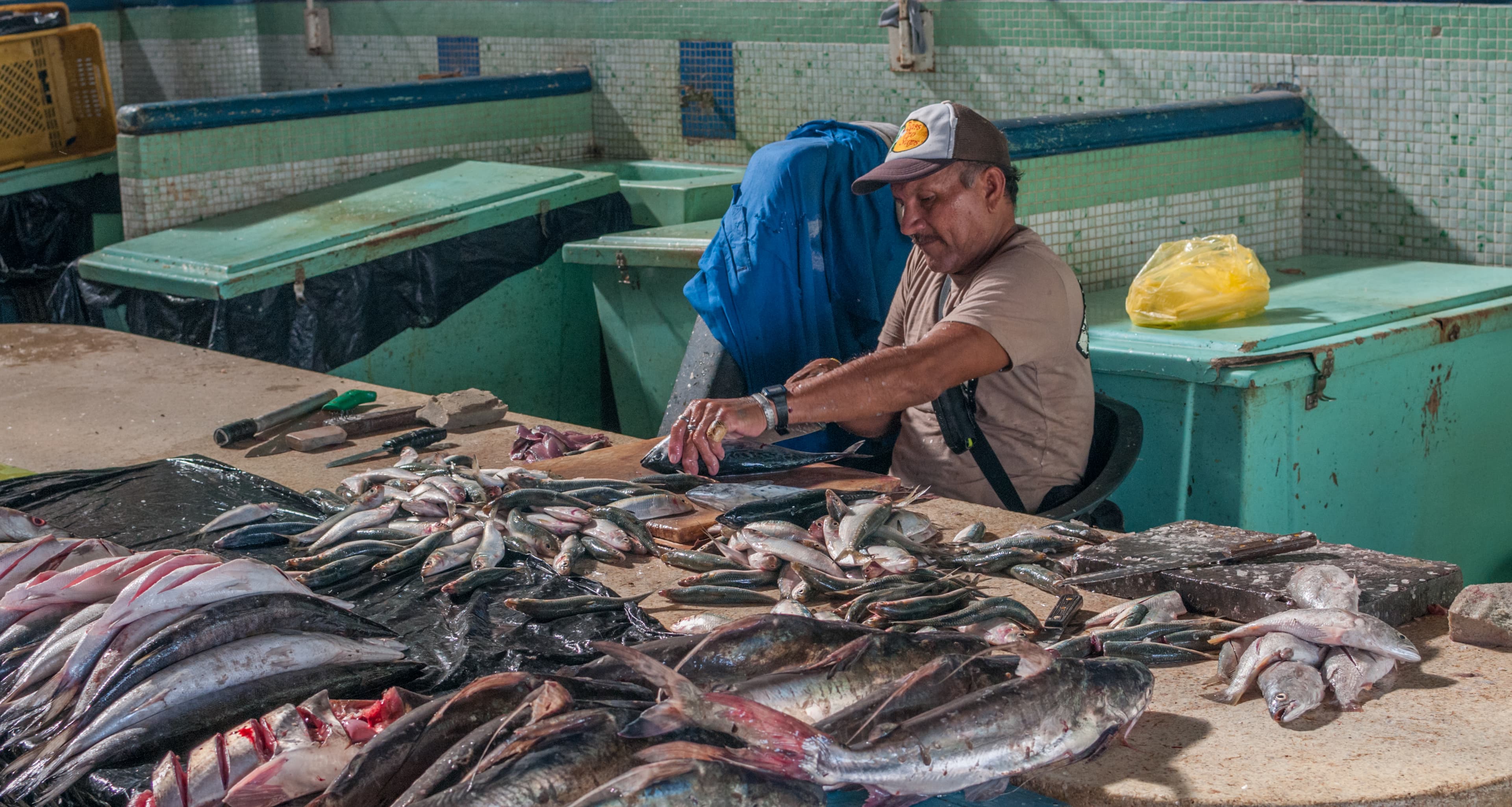 Fishmonger fish cleaning 9