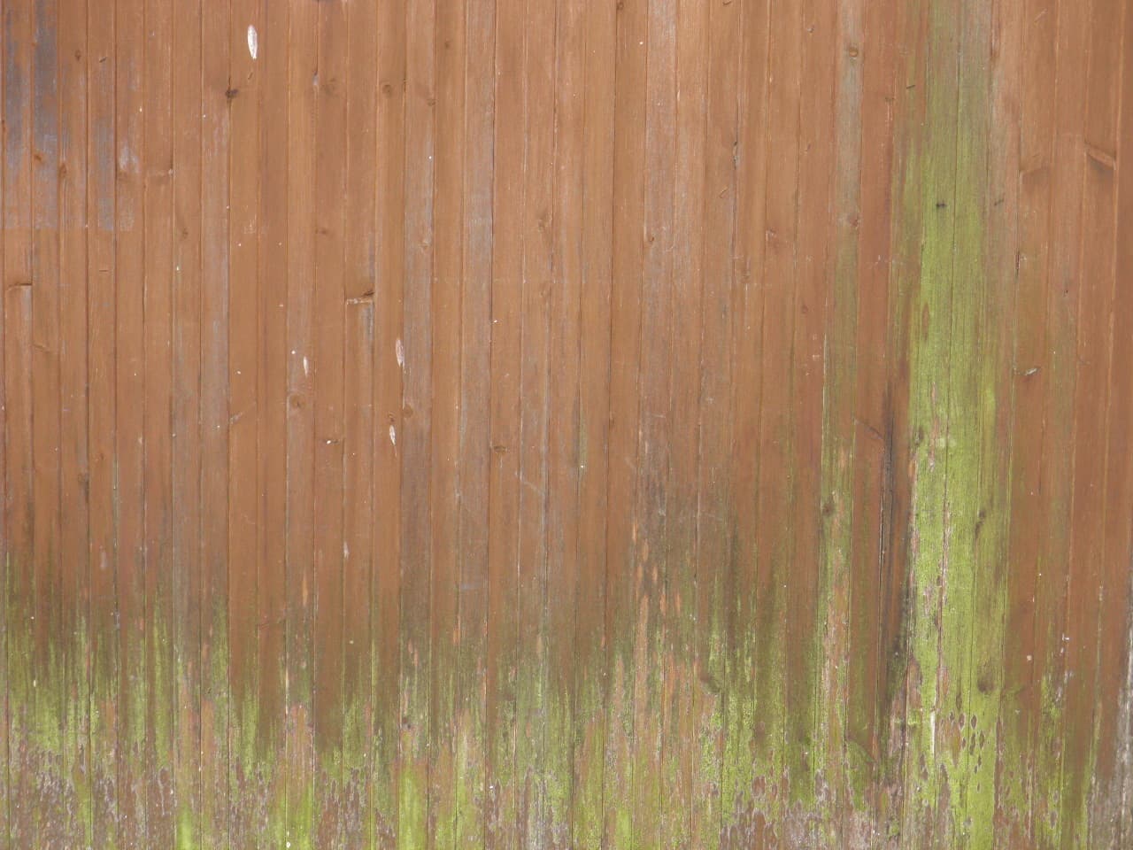 Texture - P8200051
