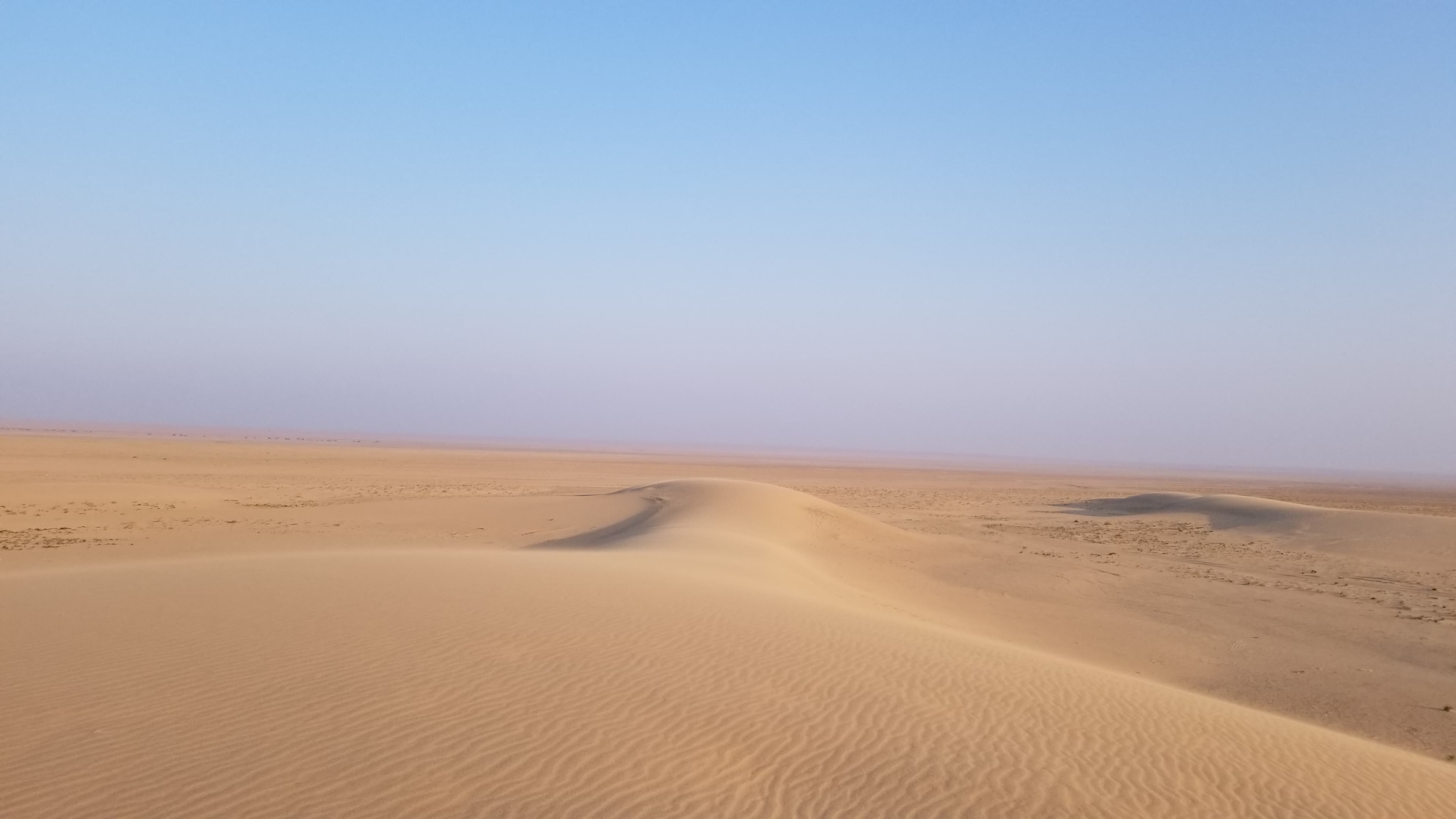 Mongolian Gobi desert dune 159