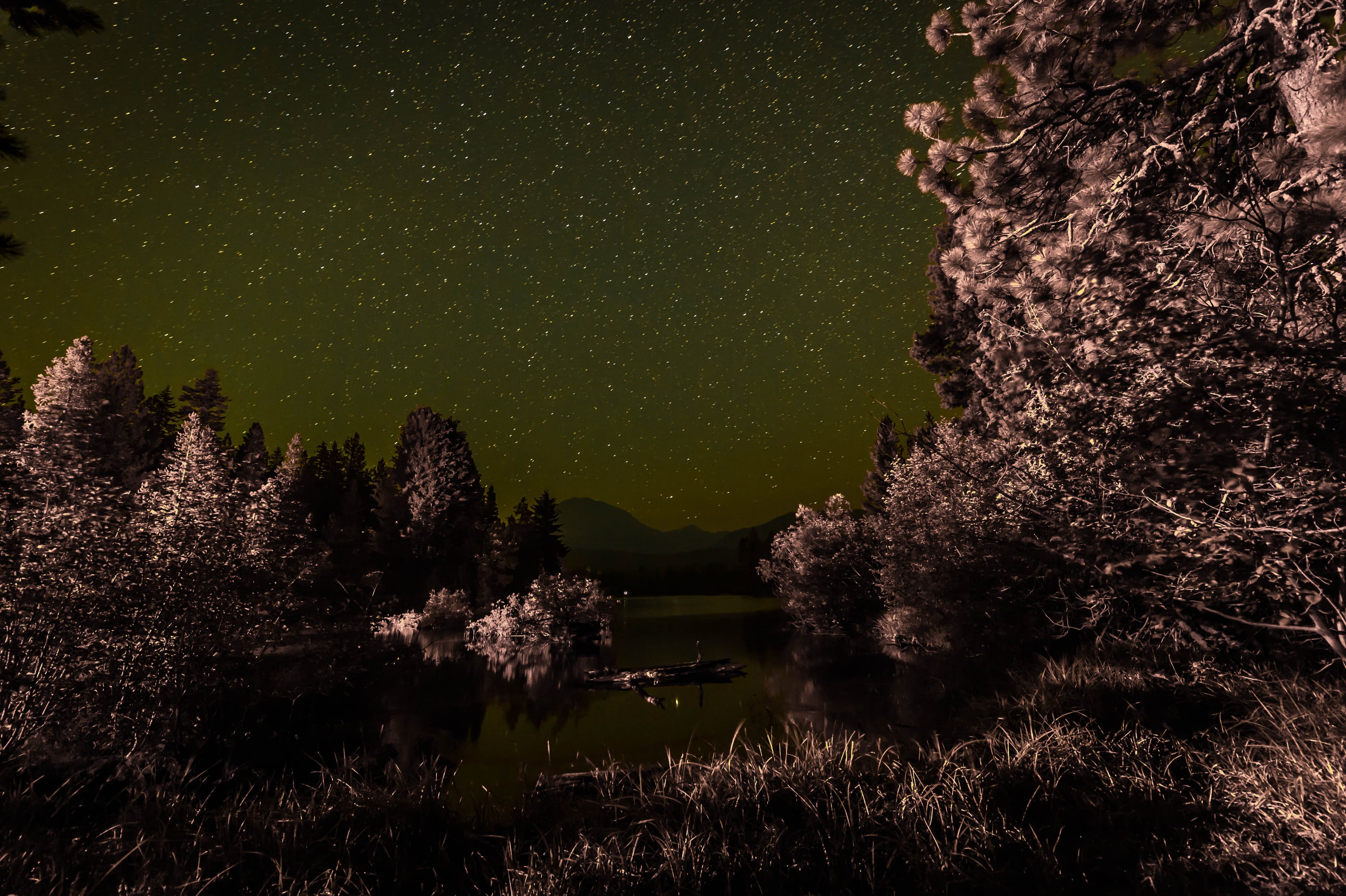 Stars over Reflection Lake (22190069122)