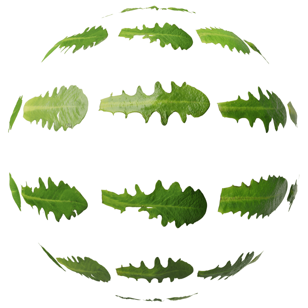 LeafSet026 PREVIEW