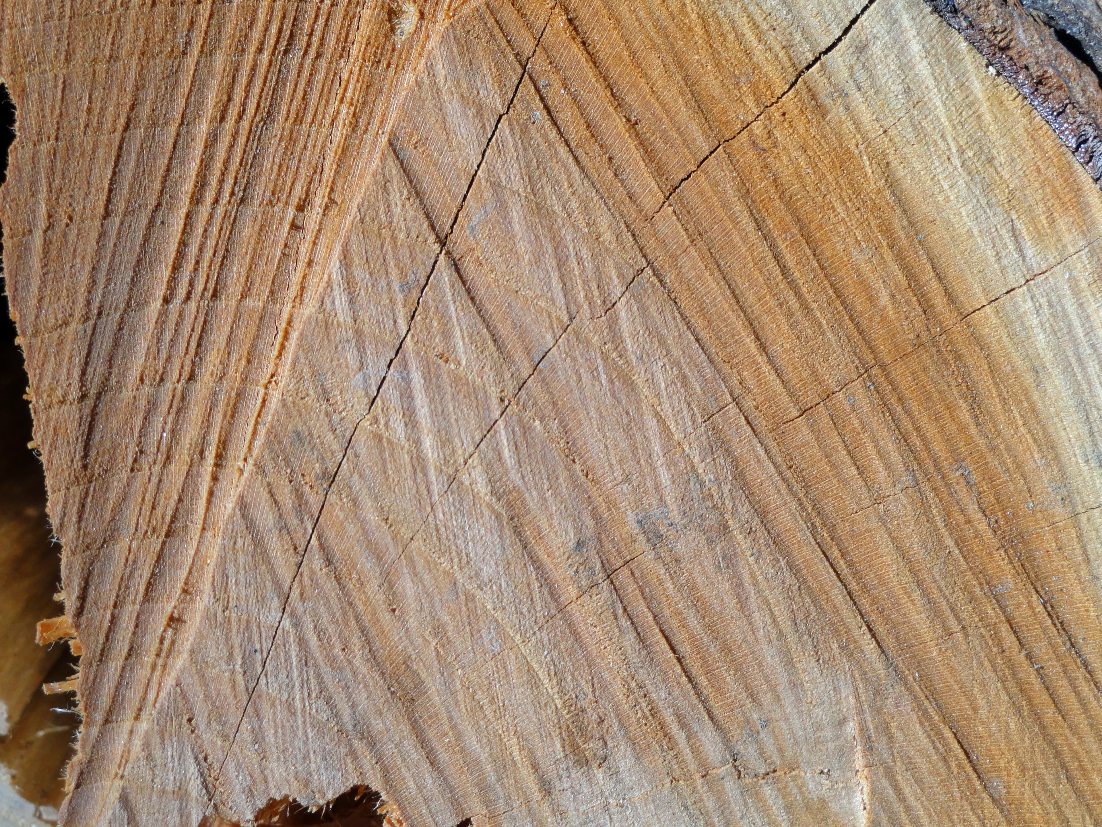 Woodgrain, Vermont - DSC03220
