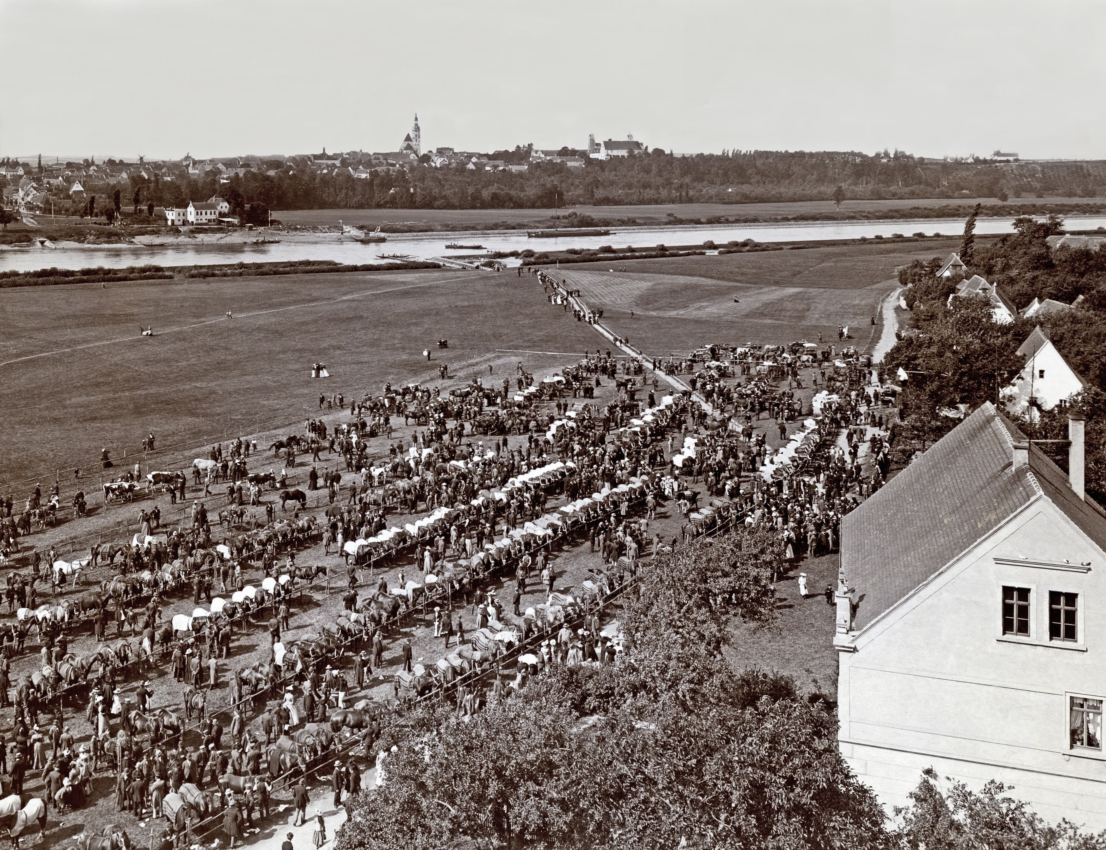 Horse market in Lorenzkirch