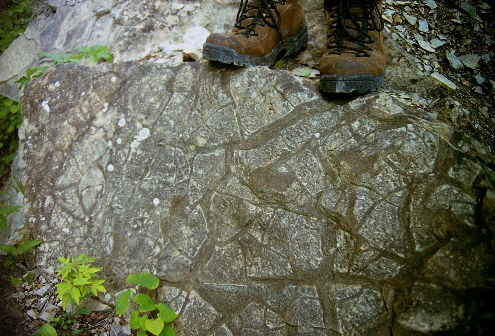 Mudcracks roundtop hill MD