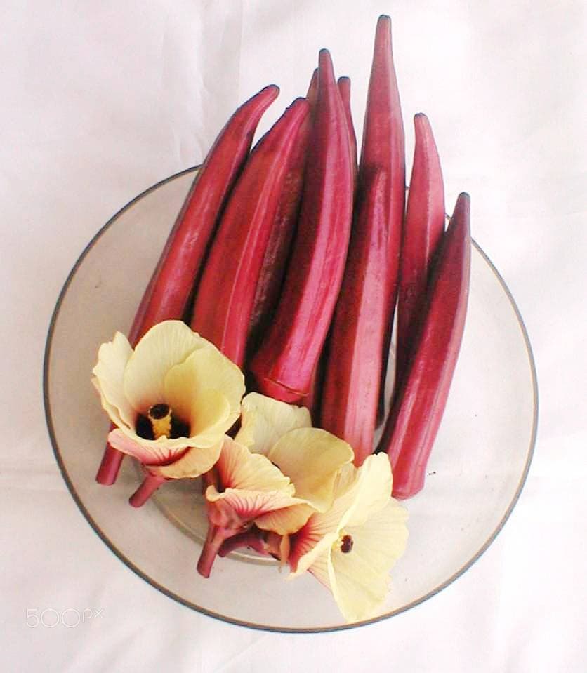 Red Okra In The Bowl (259536425)