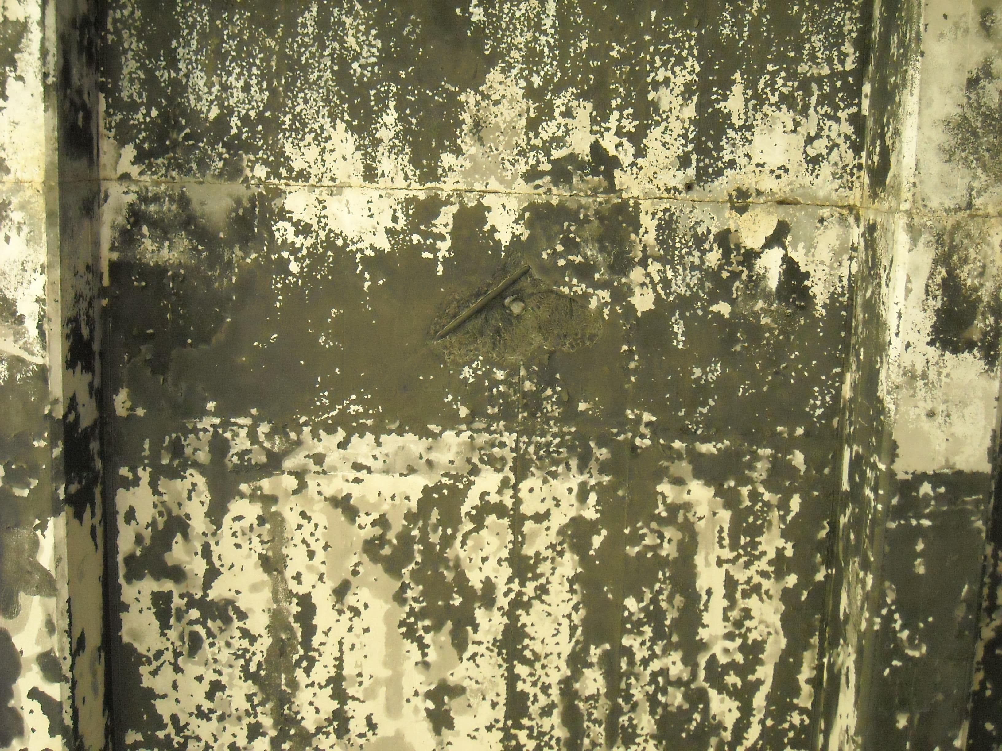 Grunge texture