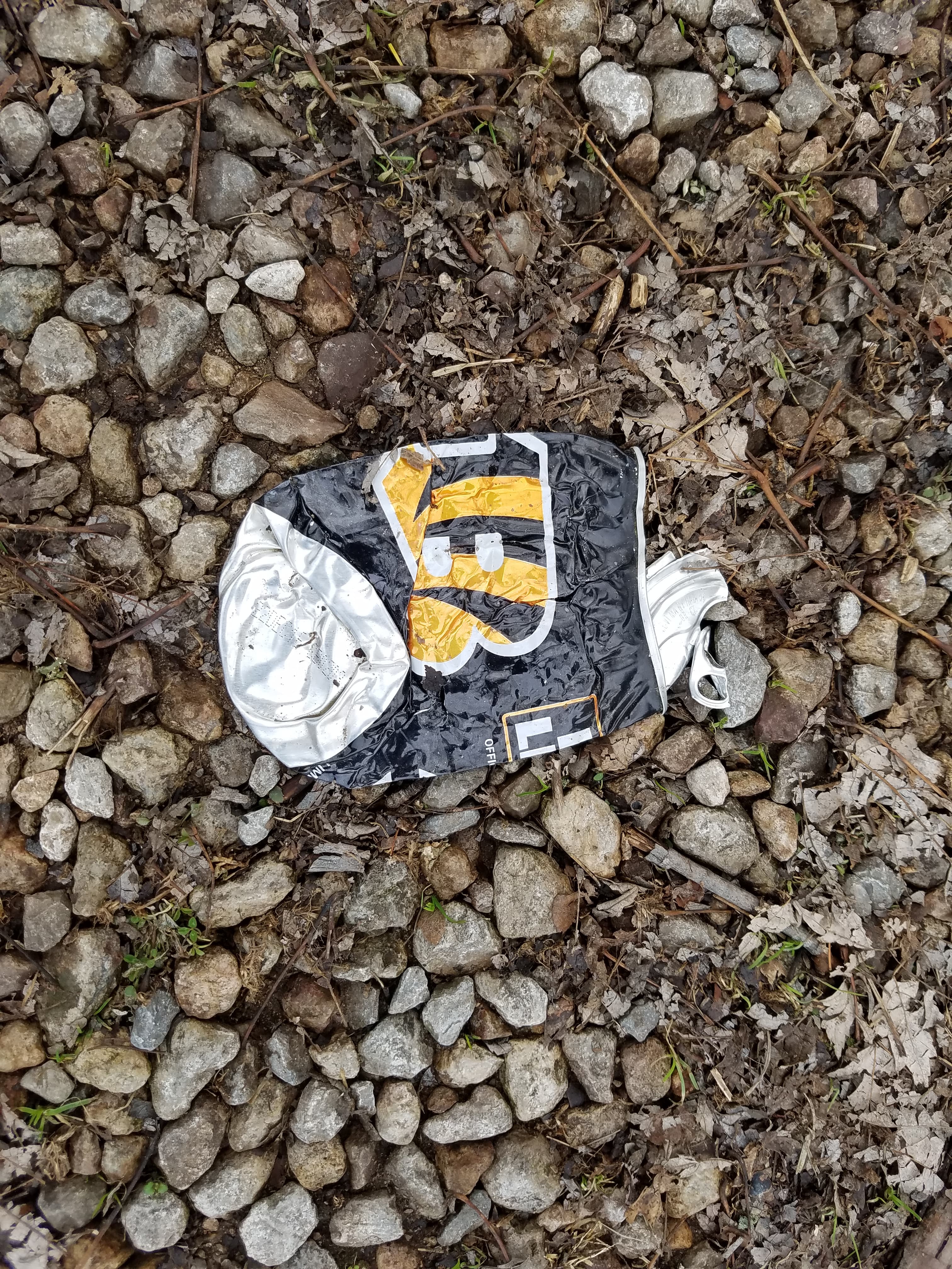 Cincinnati Bengals beer can (31760832322)