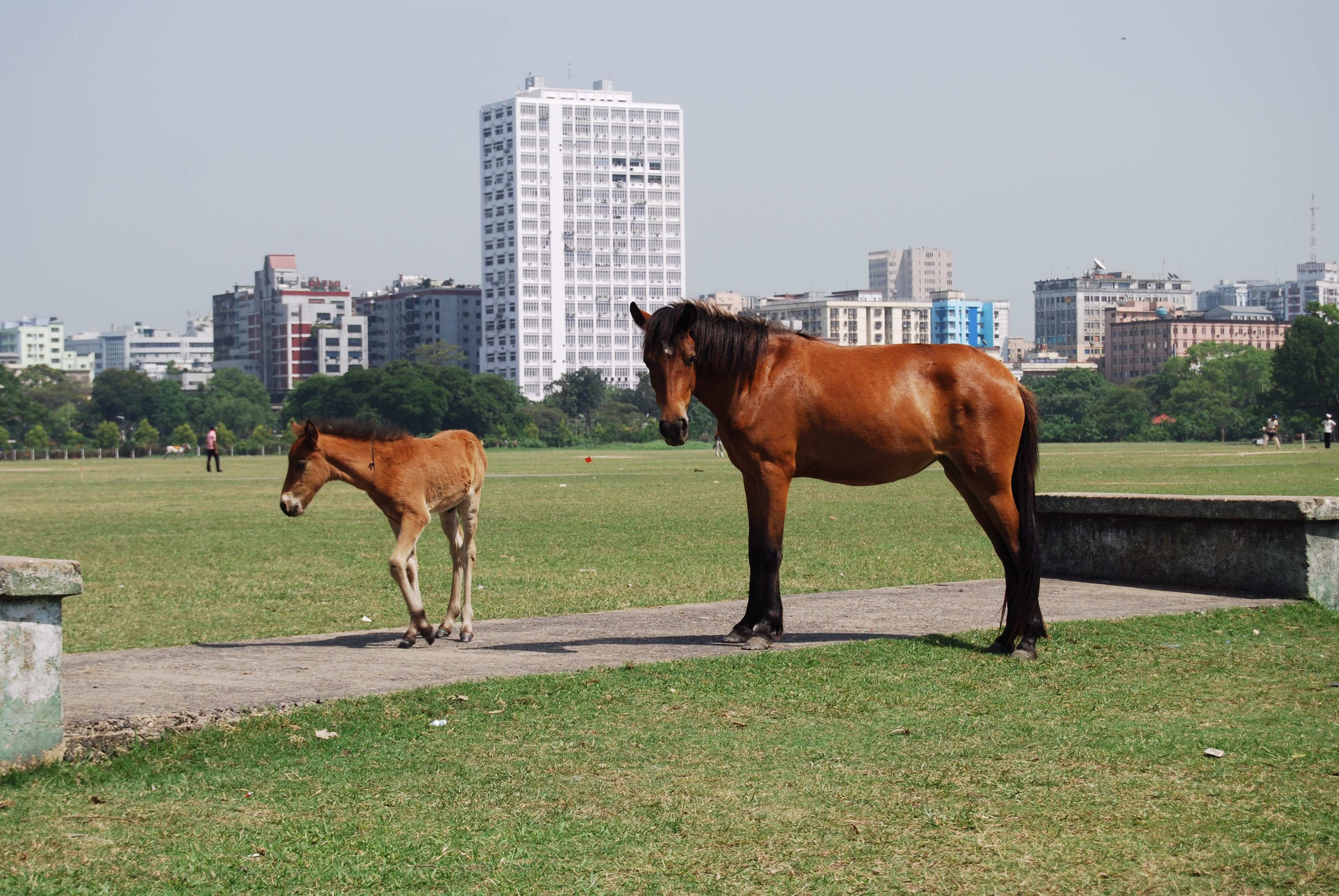 Mother and Child