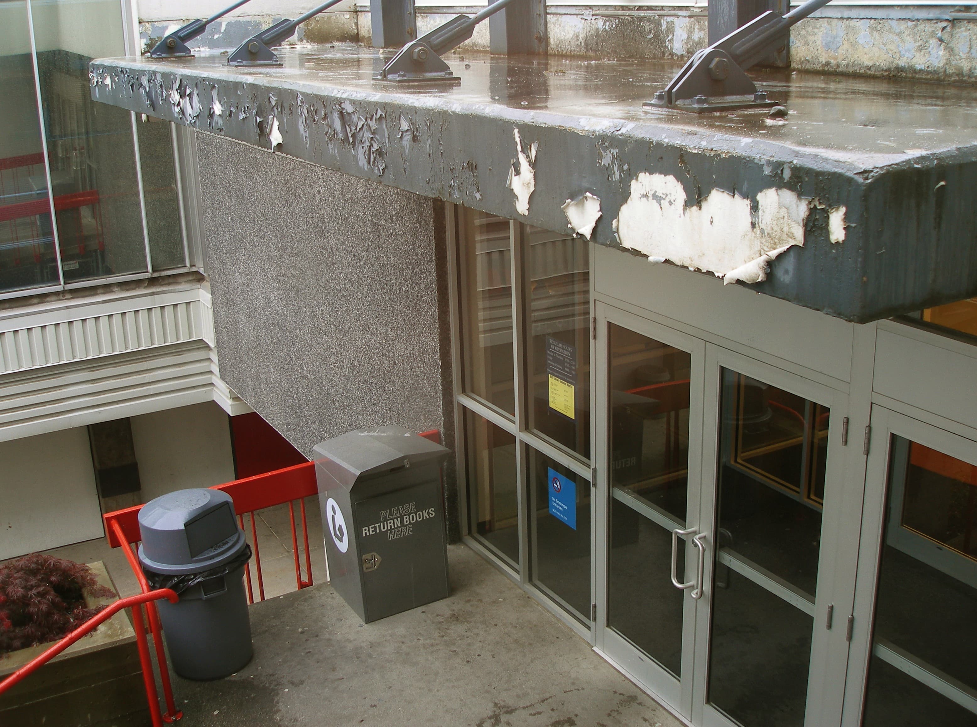 Needing TLC (163640538)