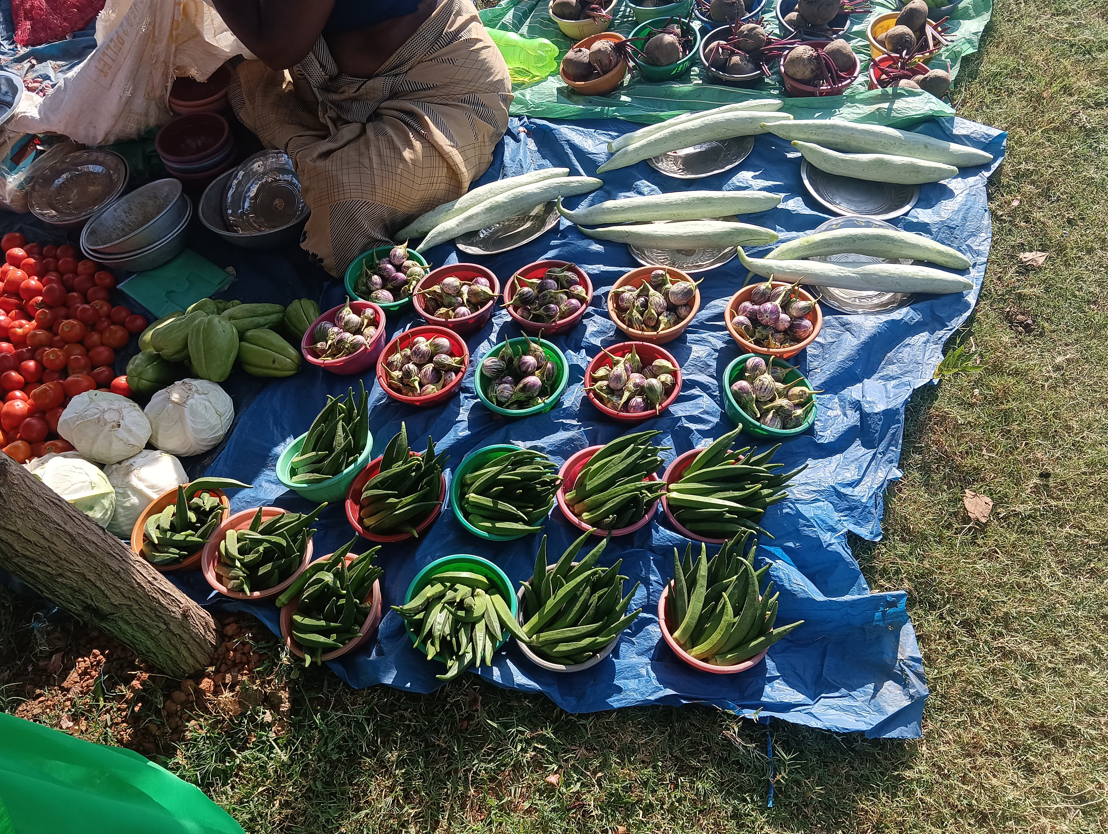 Village vegetables market
