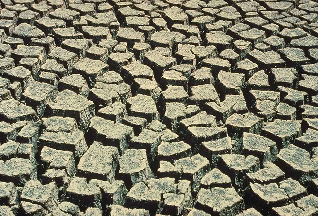 Dry Mud, NPSPhoto (9257940252)
