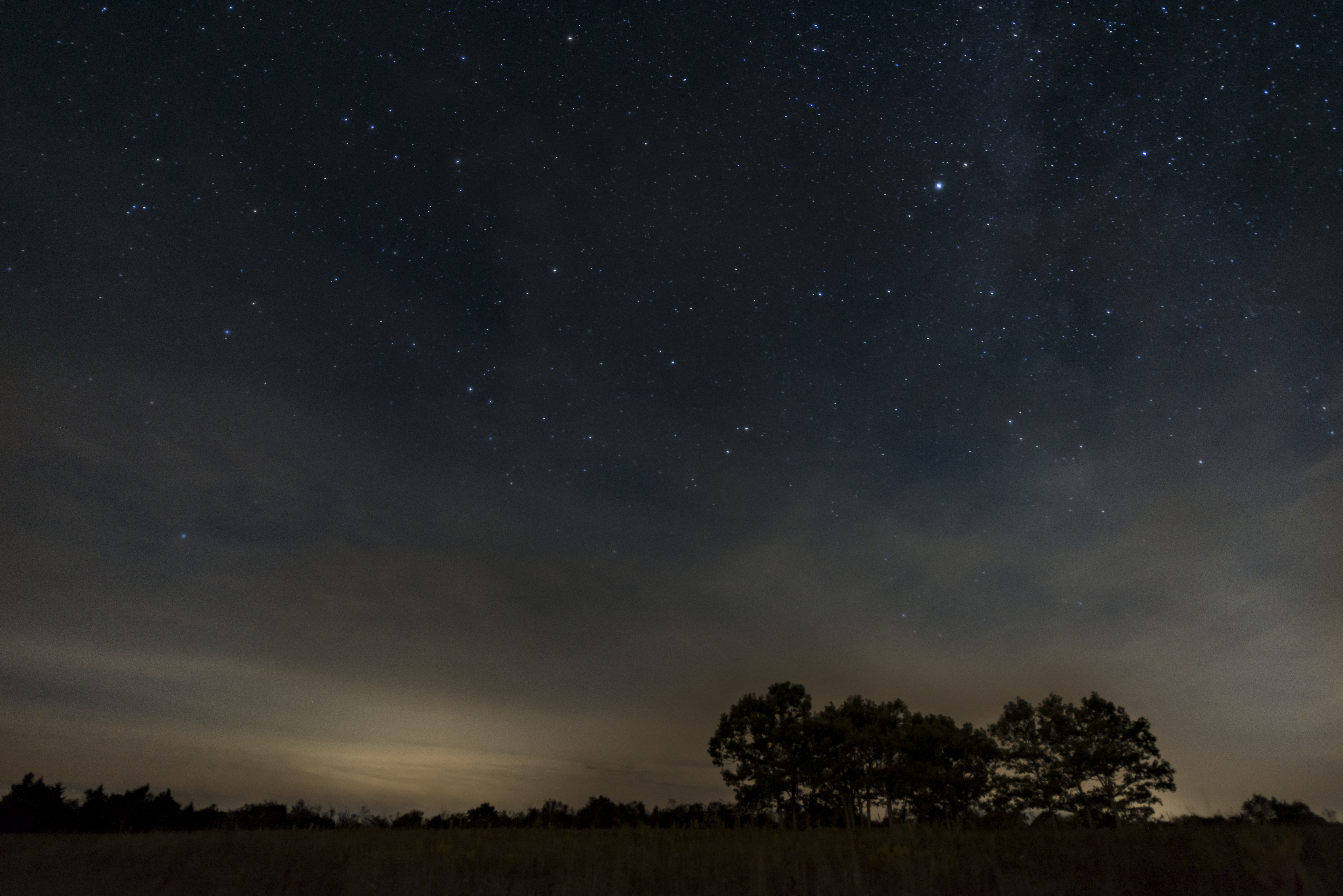 Big Meadows Night Sky (51834254131)