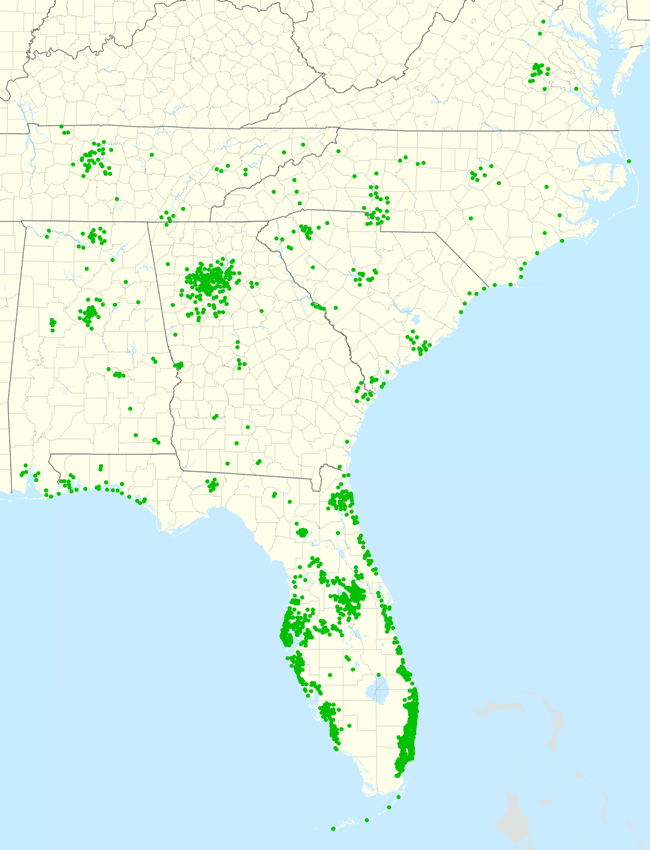 Publix footprint 2020 November