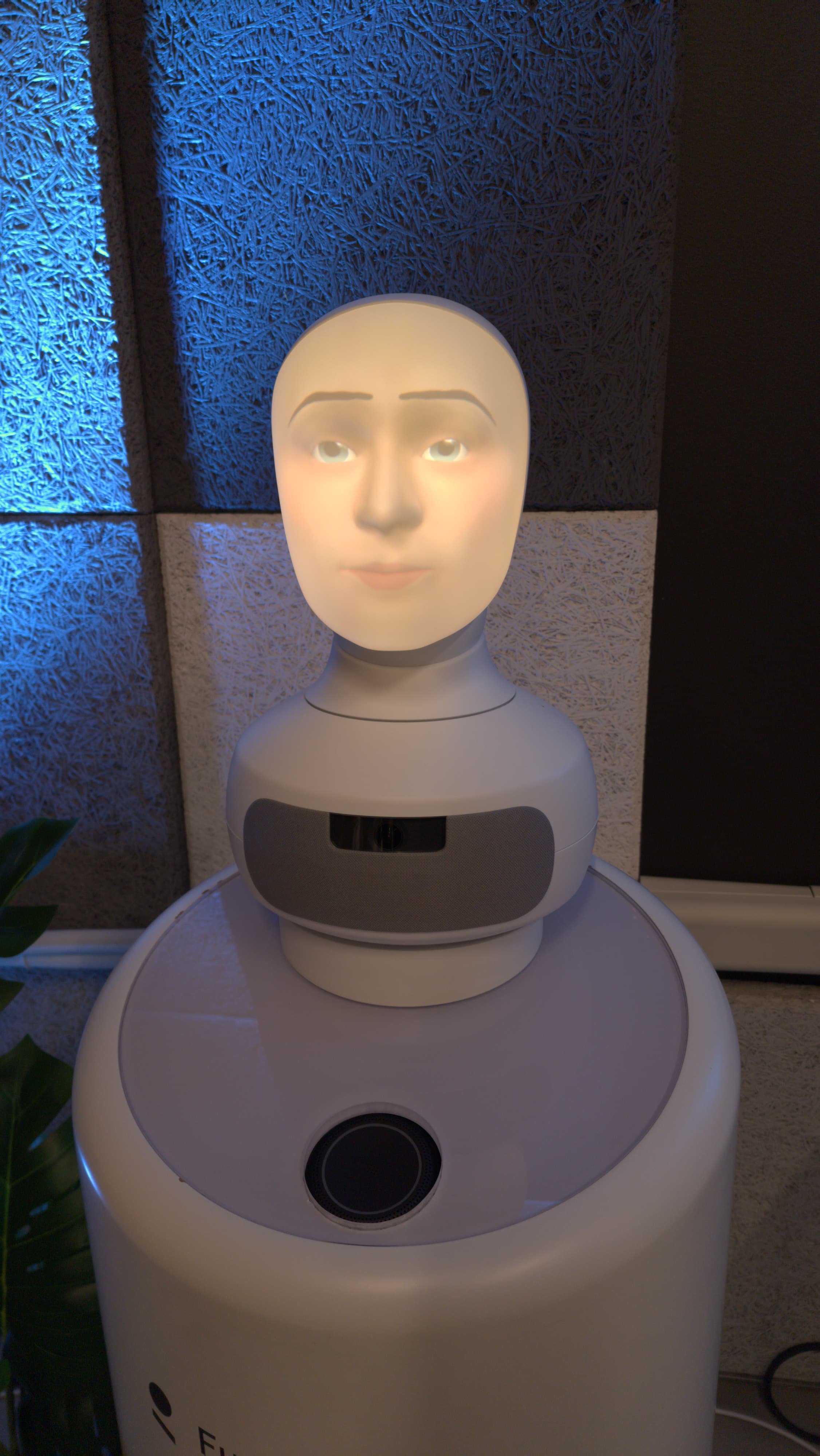 A Furhat Robot Head