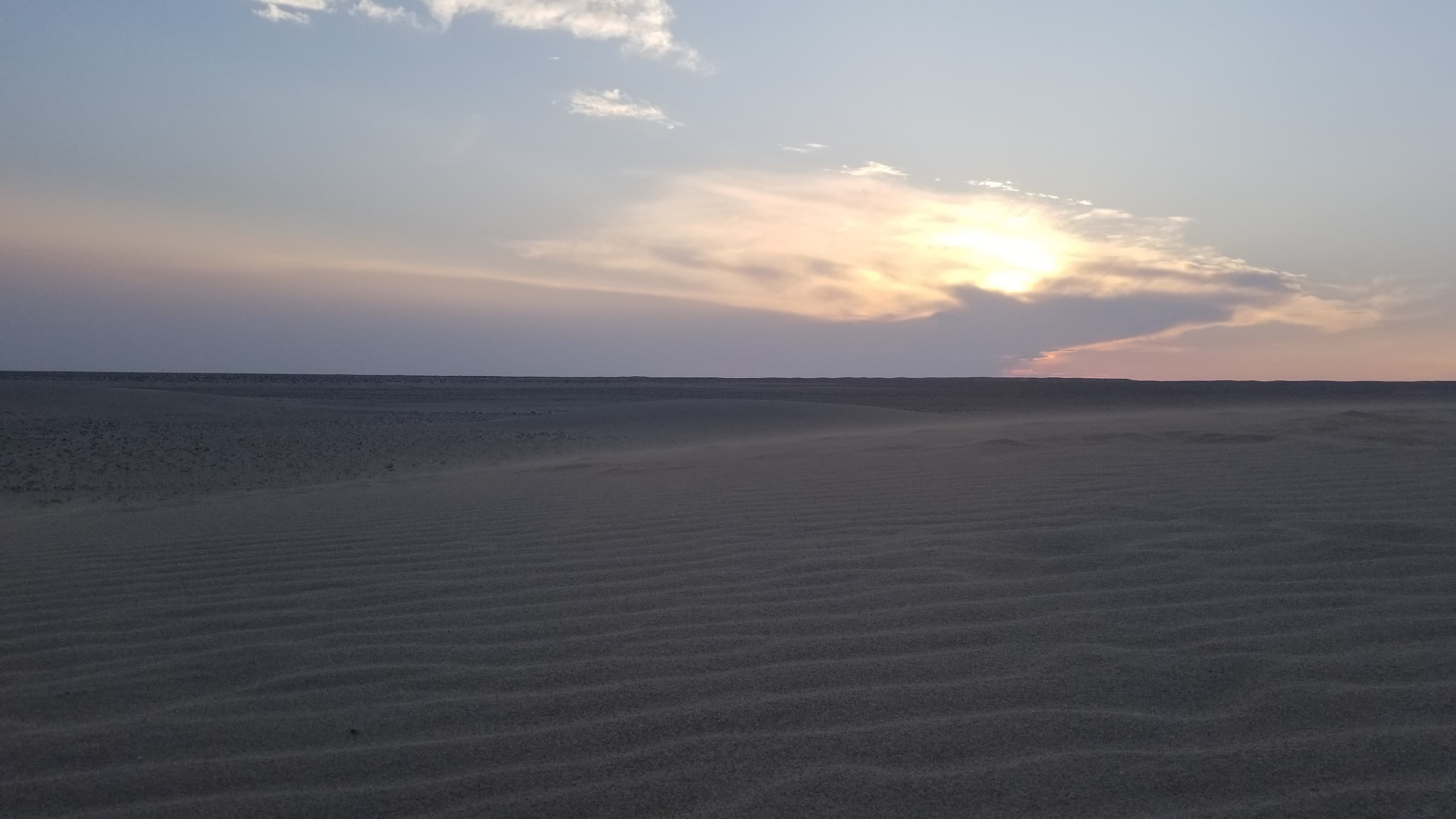 Mongolian Gobi desert dune 1188
