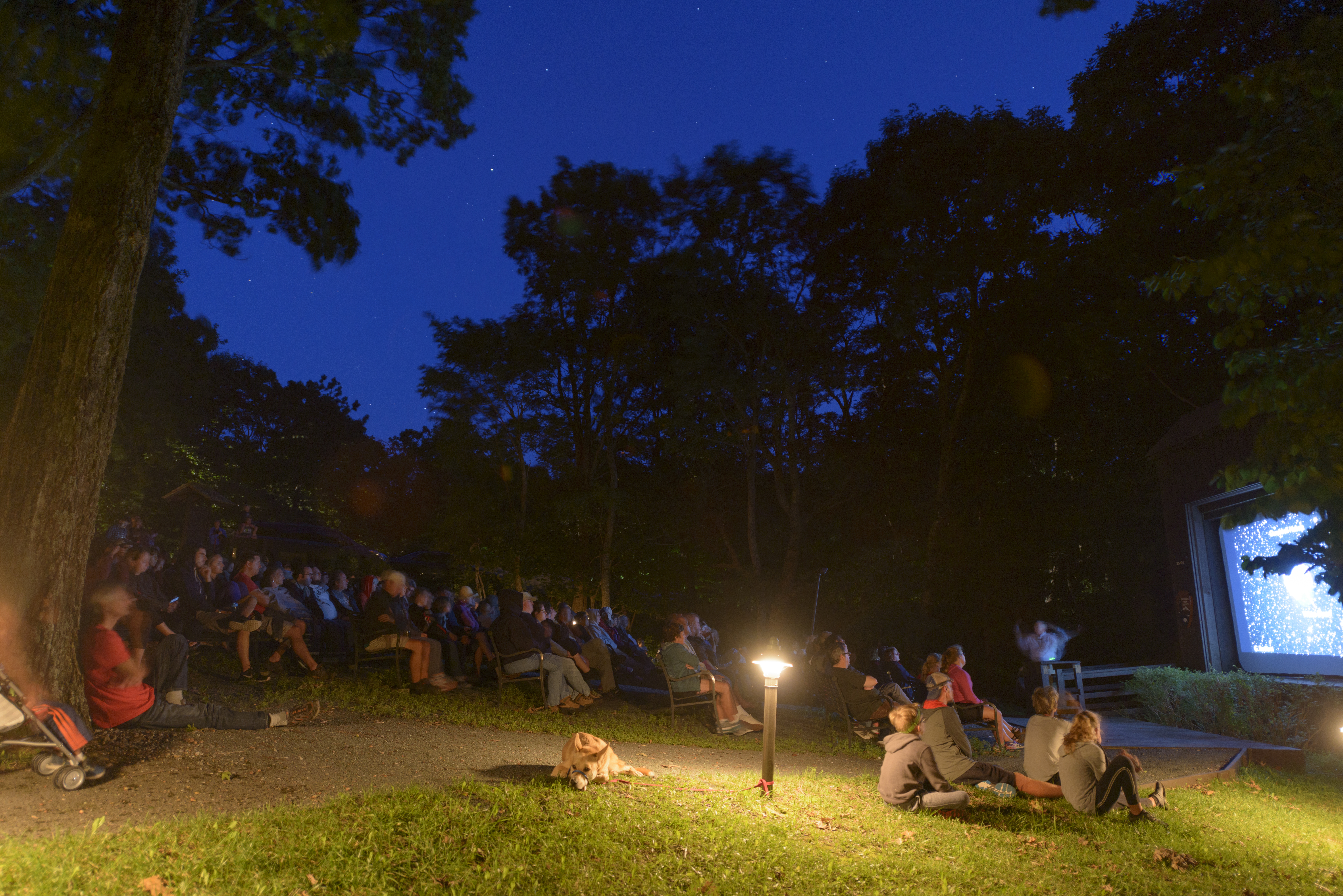 2017 Night Sky Festival (36729425012)