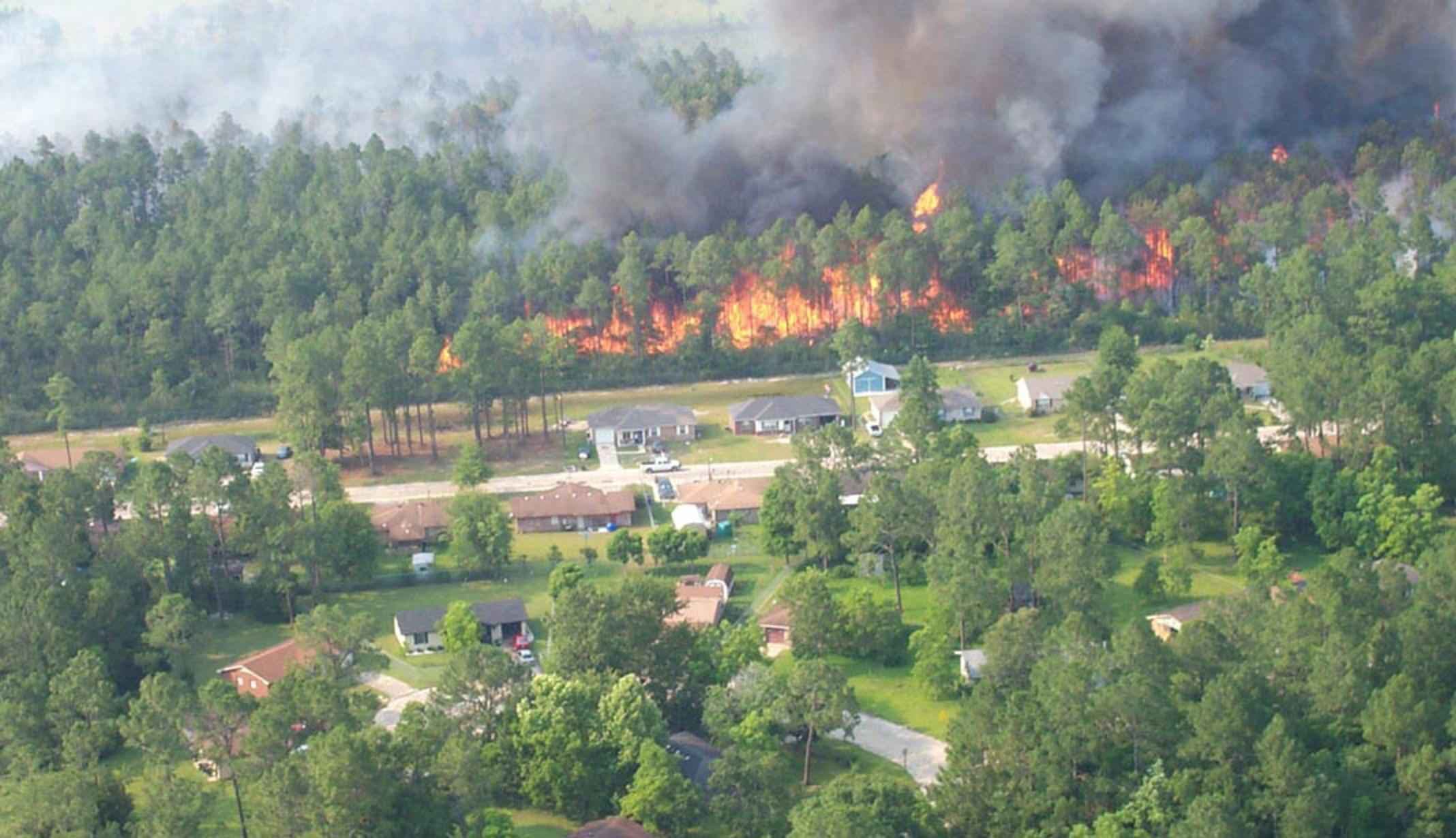 Forest fire around houses