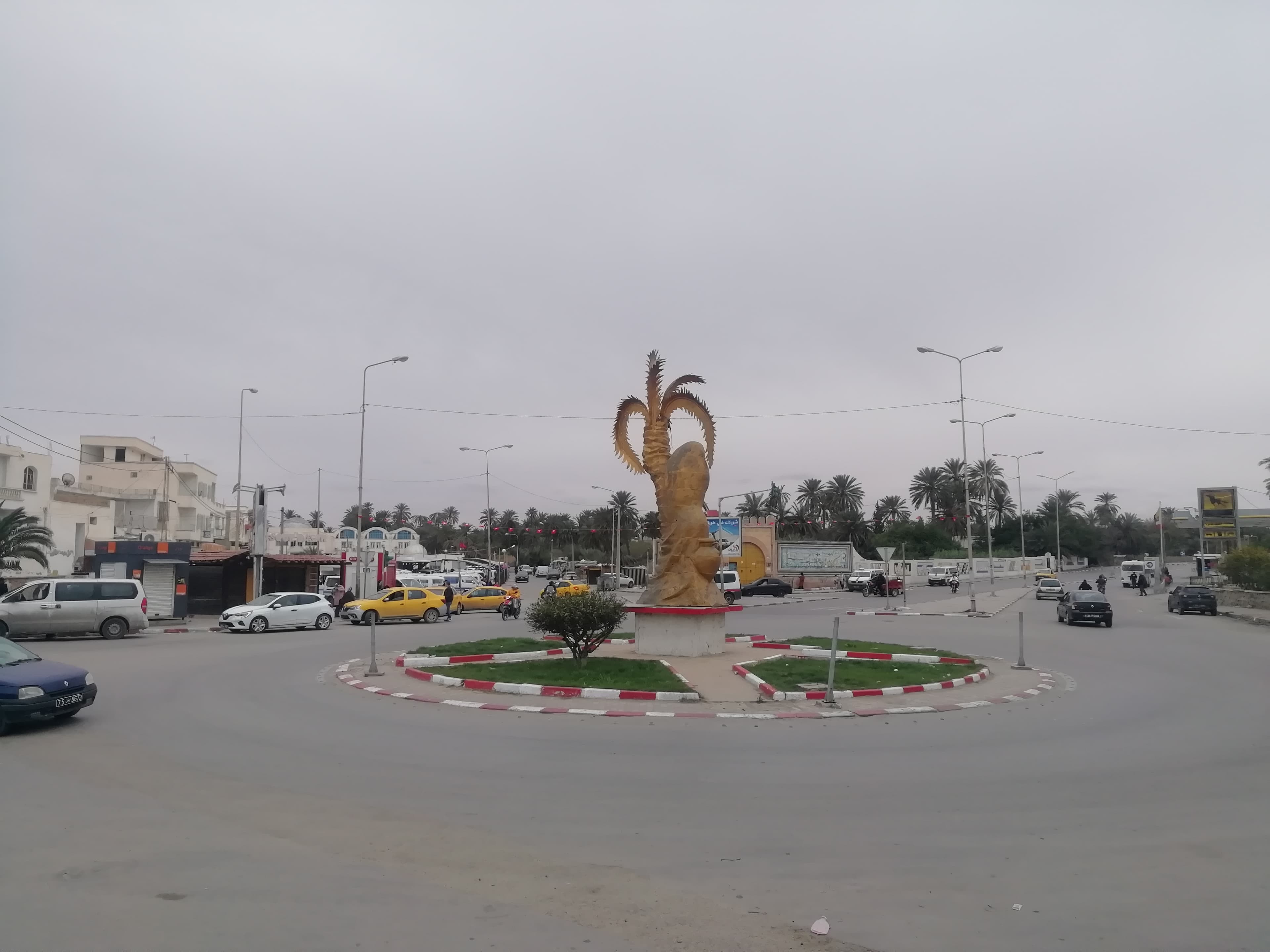 Roundabout Palm Tree Gabés 11