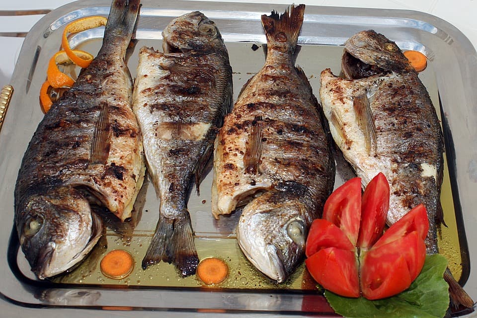 Grilled fish